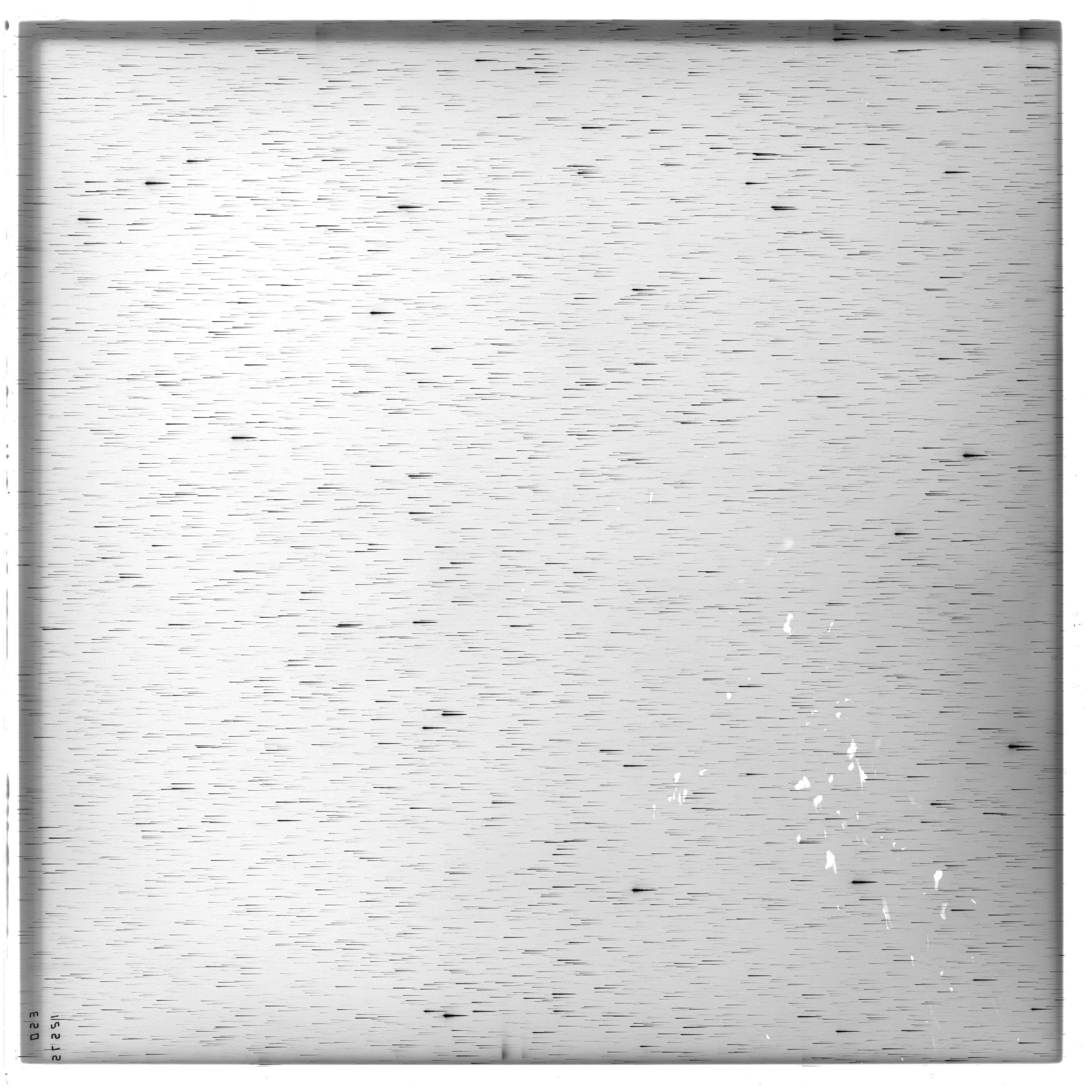 Scan ES12575a