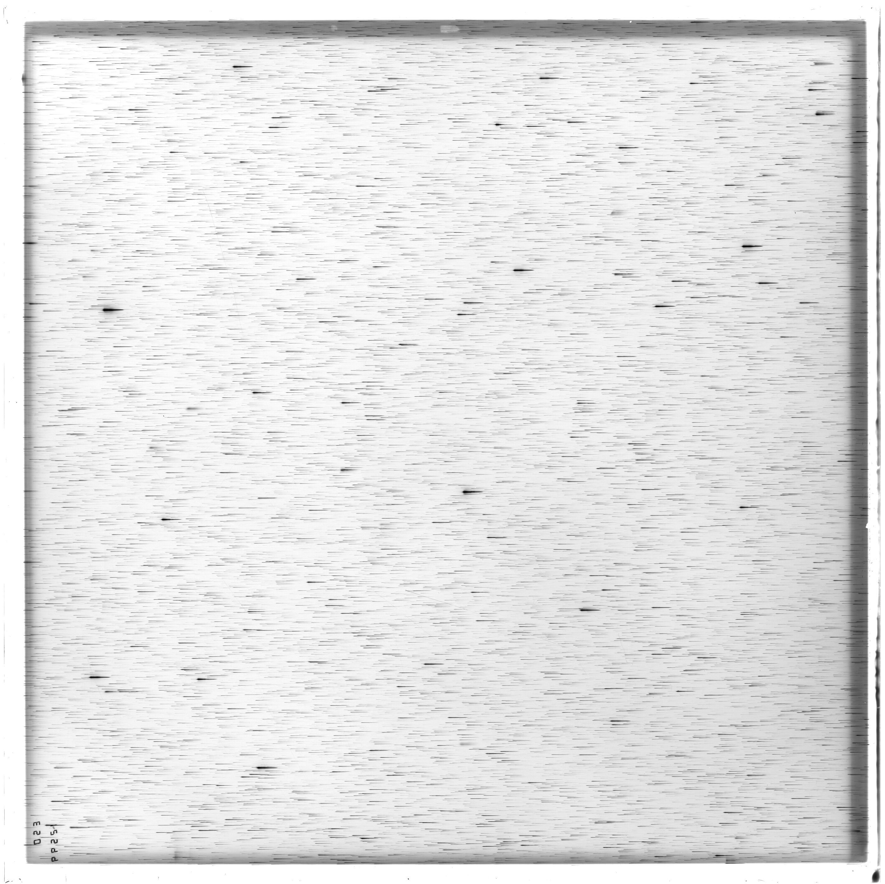 Scan ES12599a