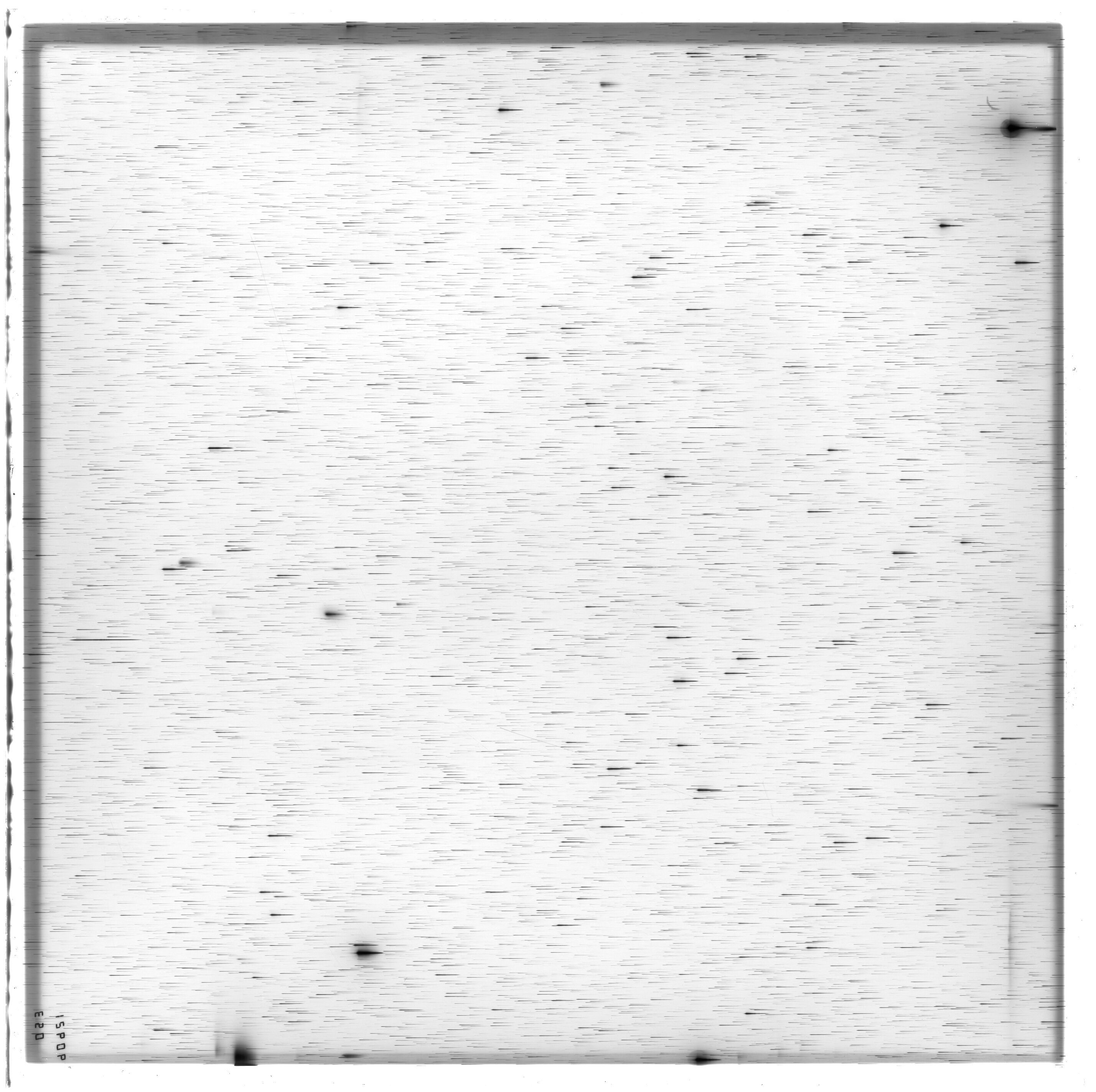 Scan ES12606a