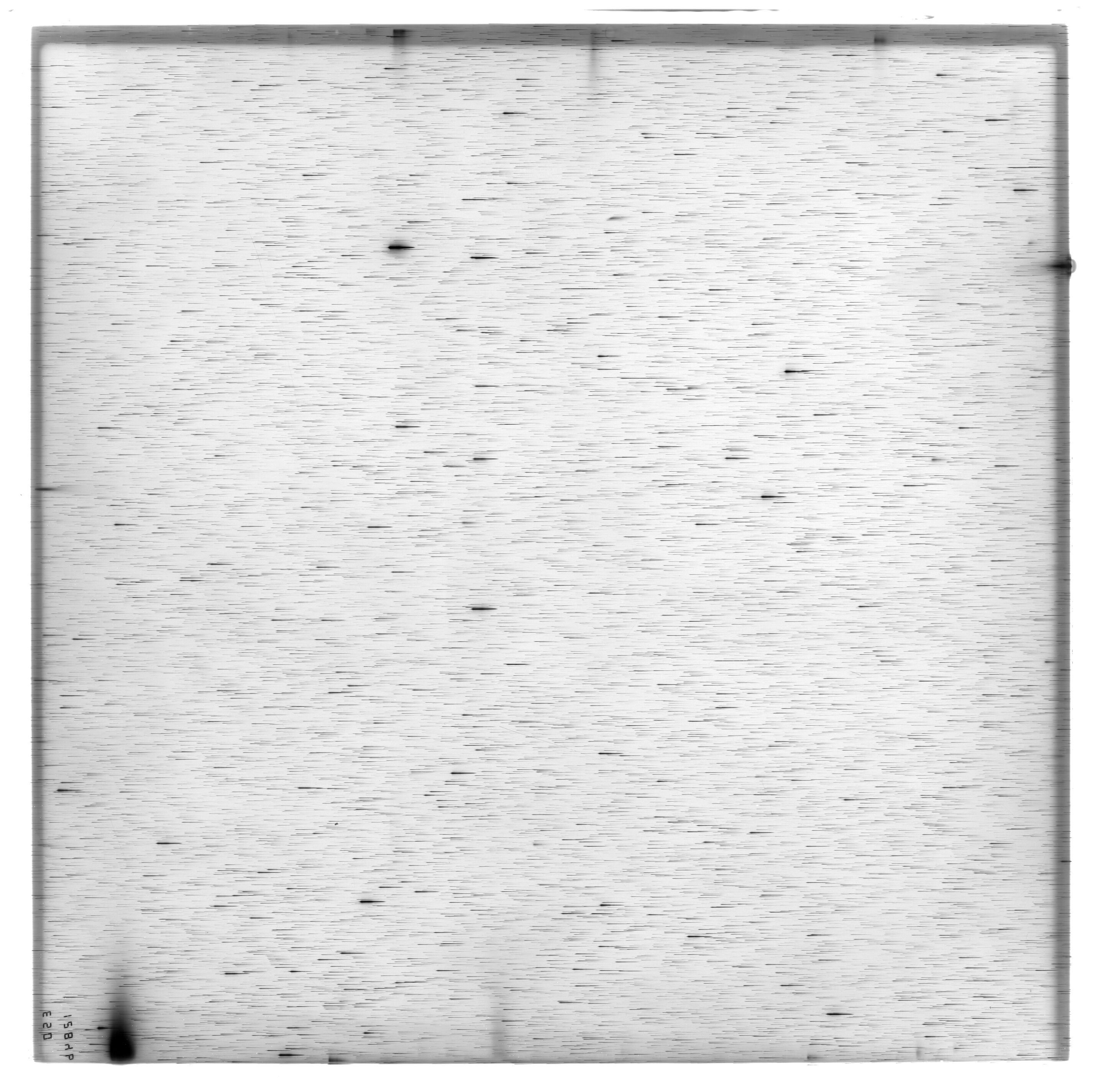Scan ES12846a