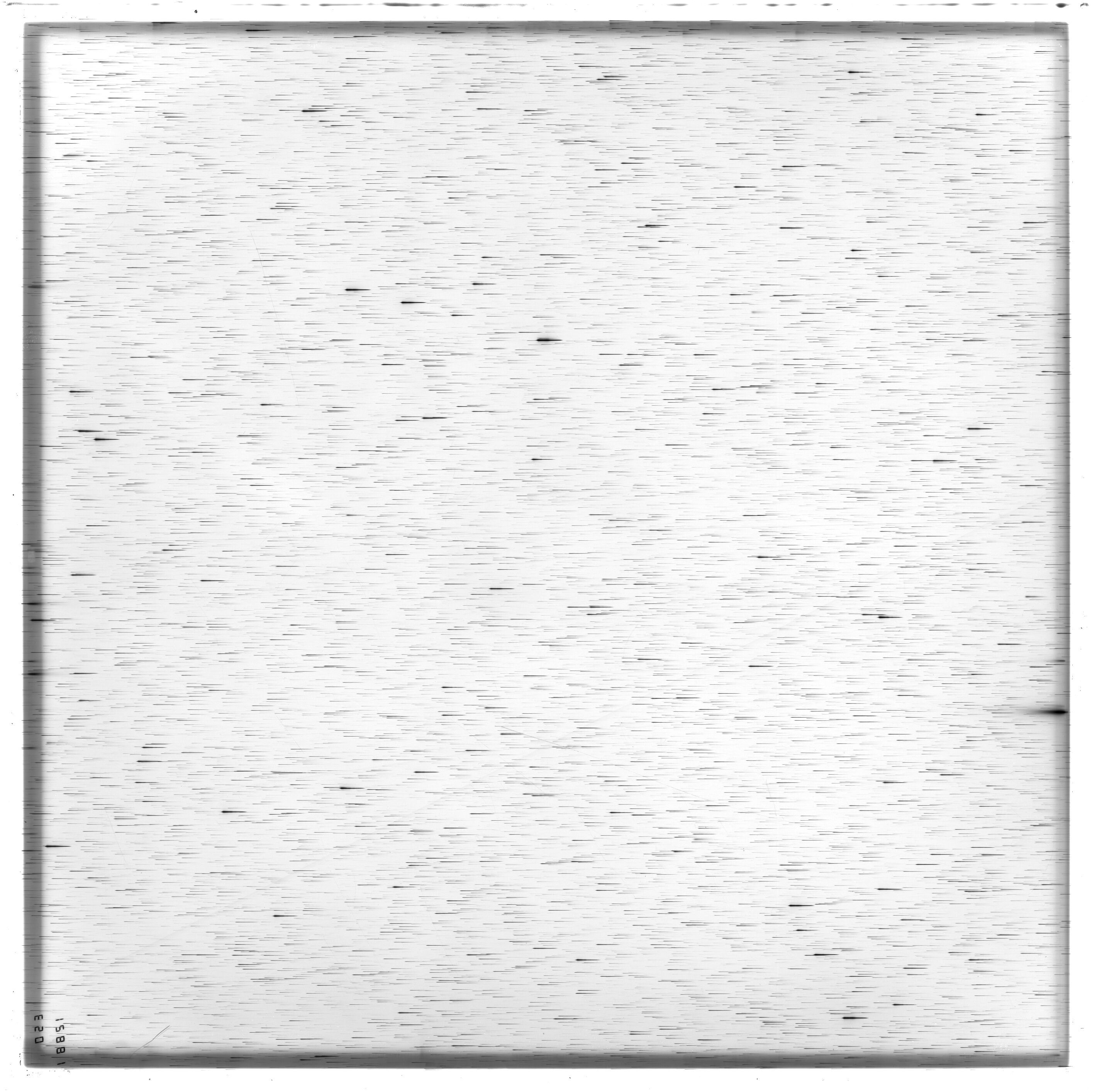Scan ES12881a