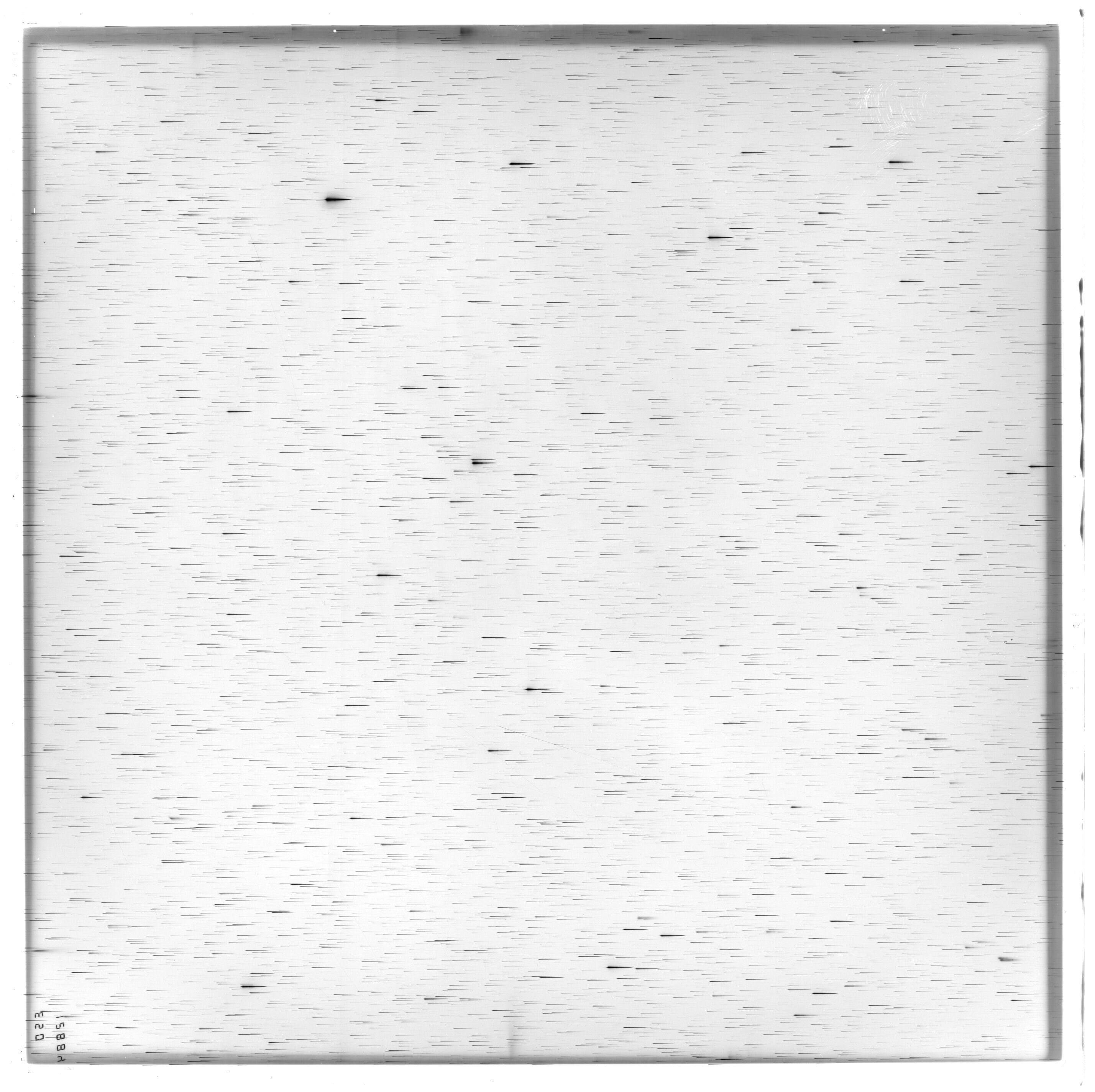 Scan ES12884a