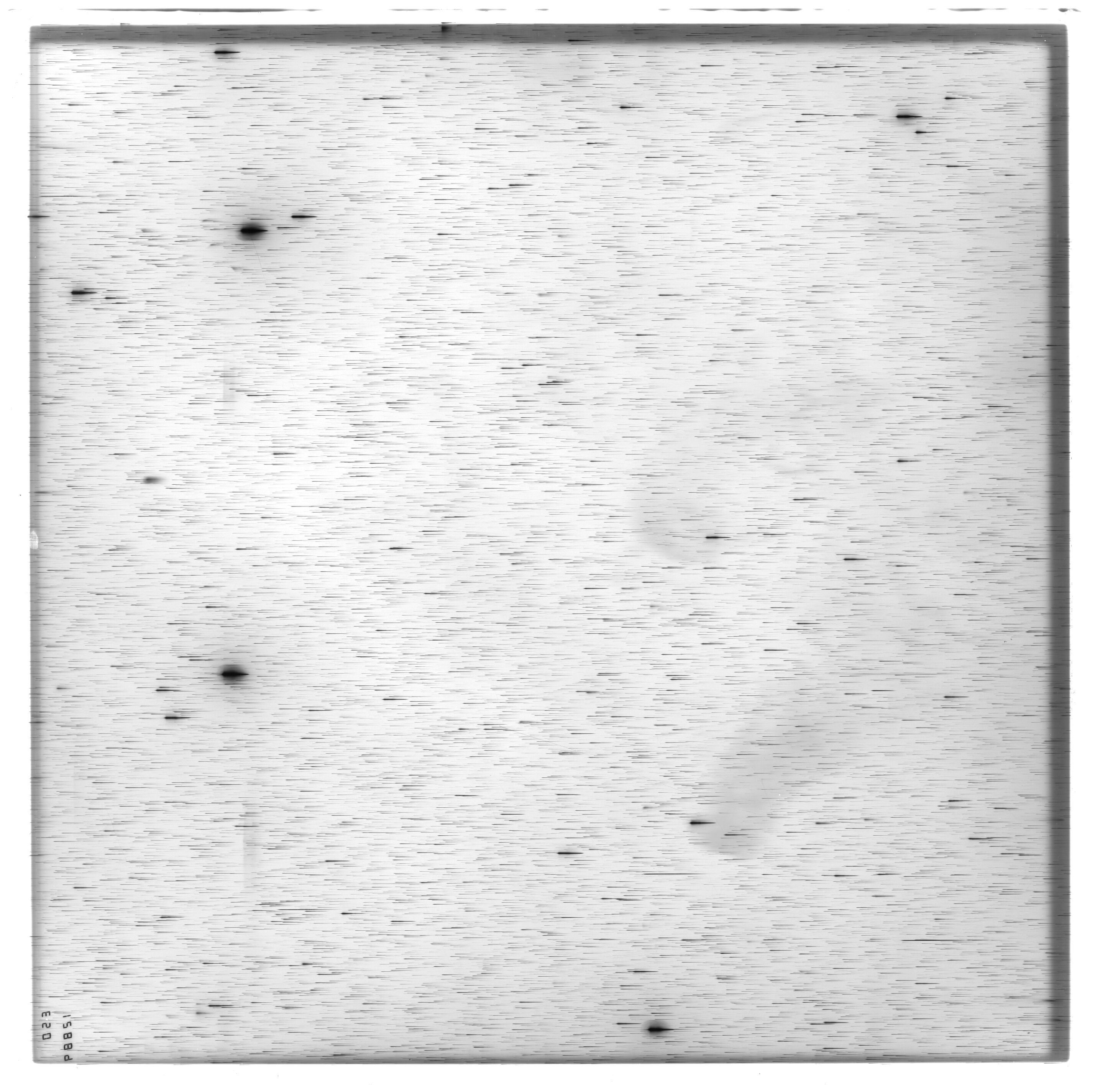 Scan ES12889a