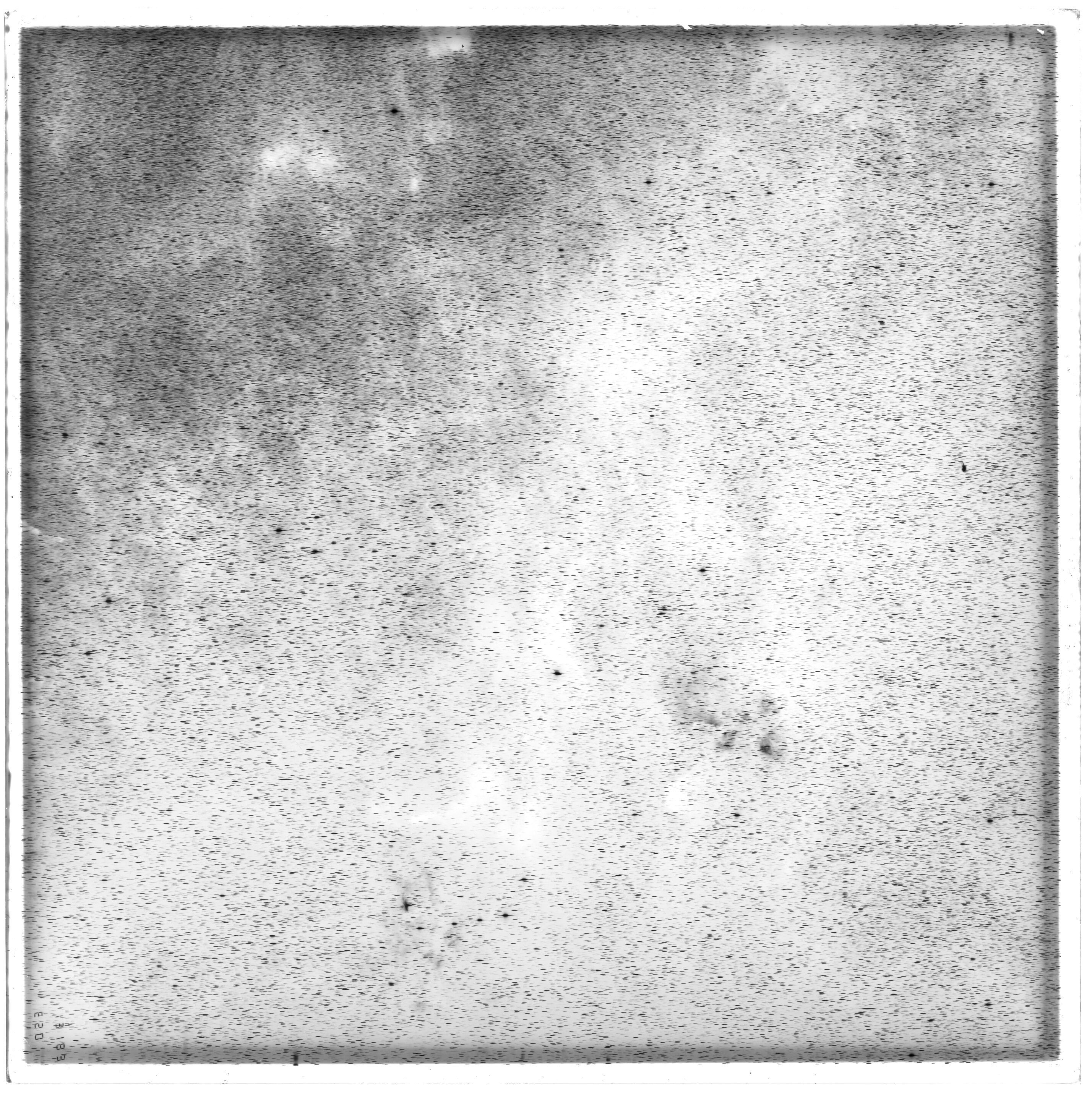 Scan ES13183b