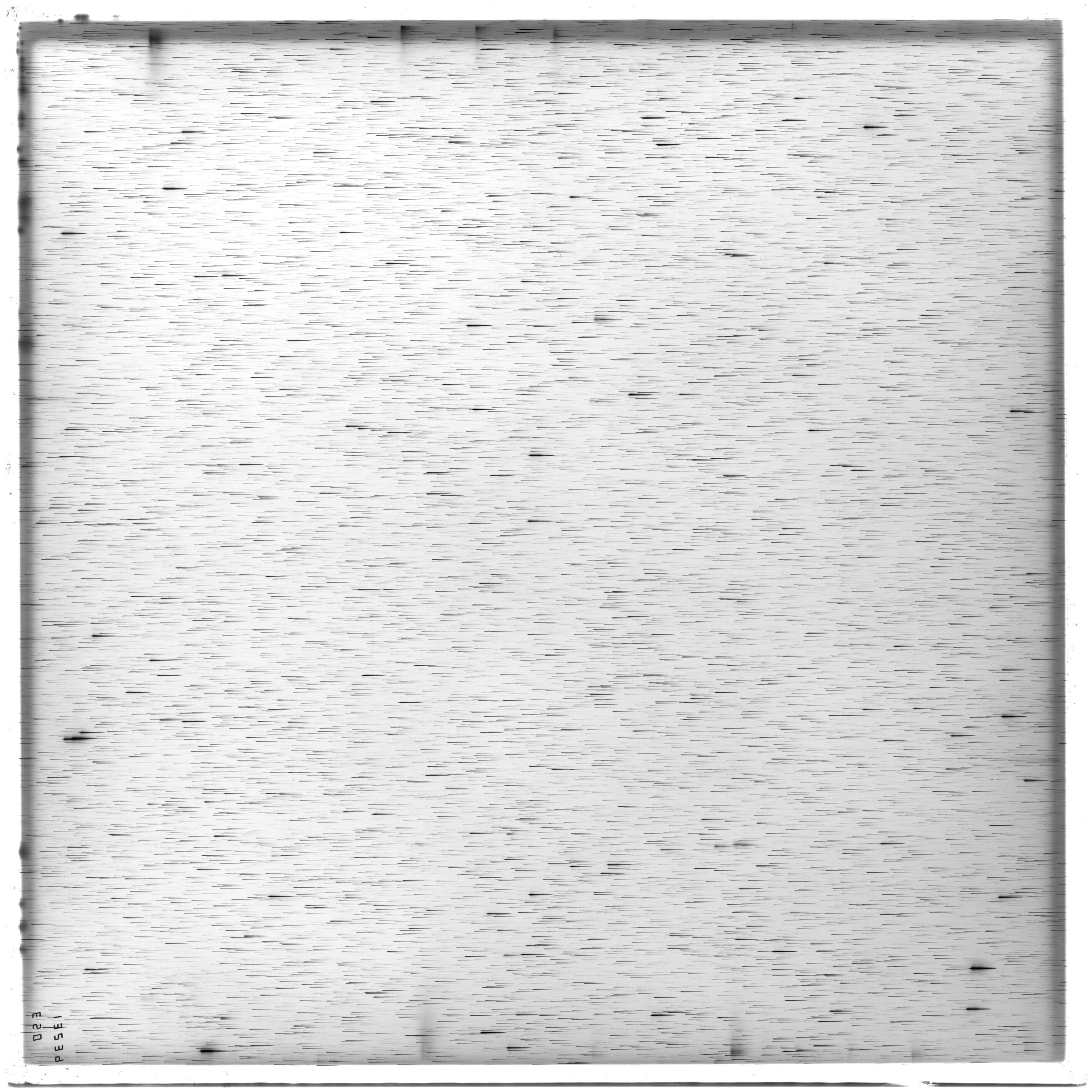 Scan ES13239a