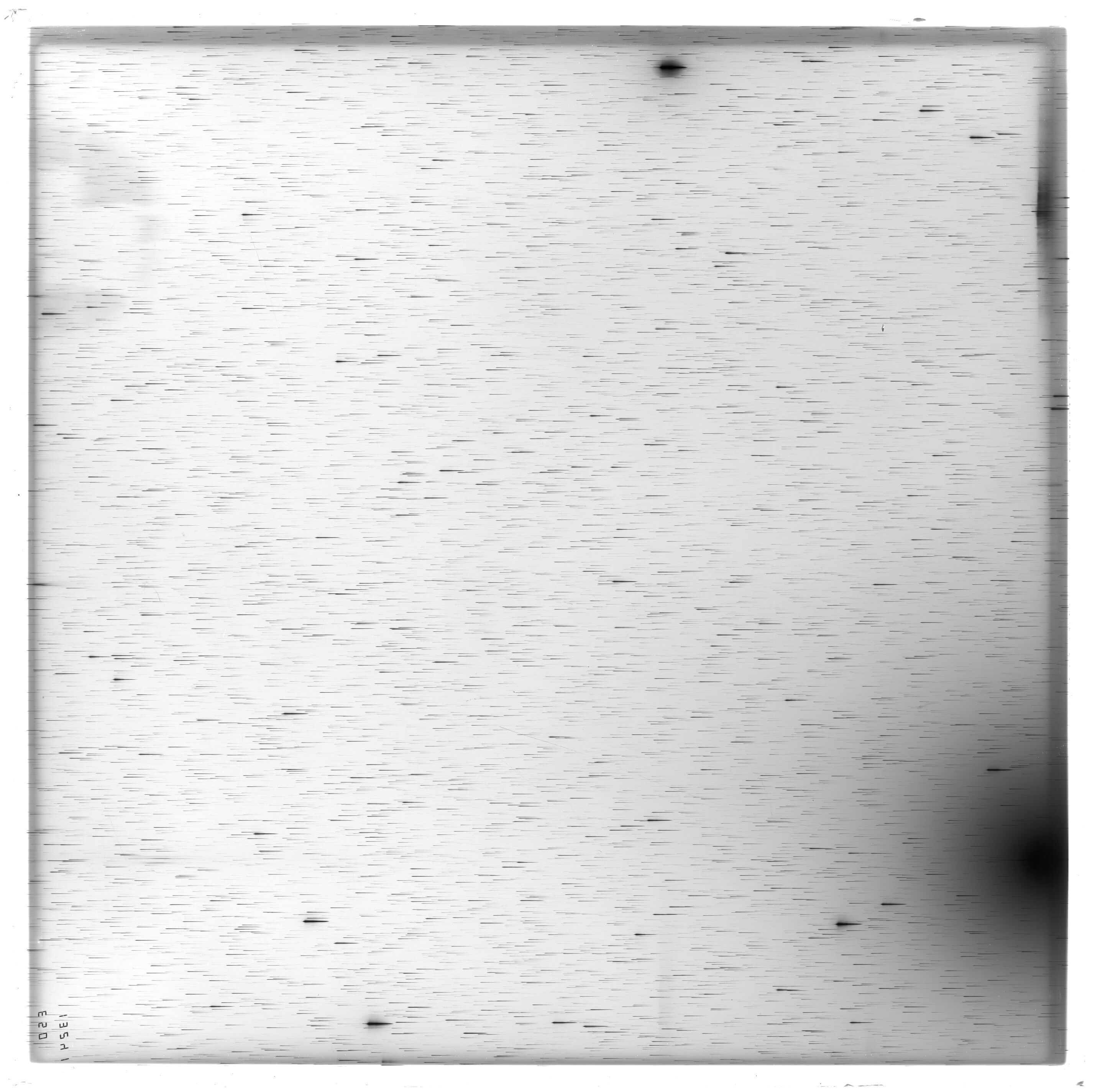 Scan ES13241a