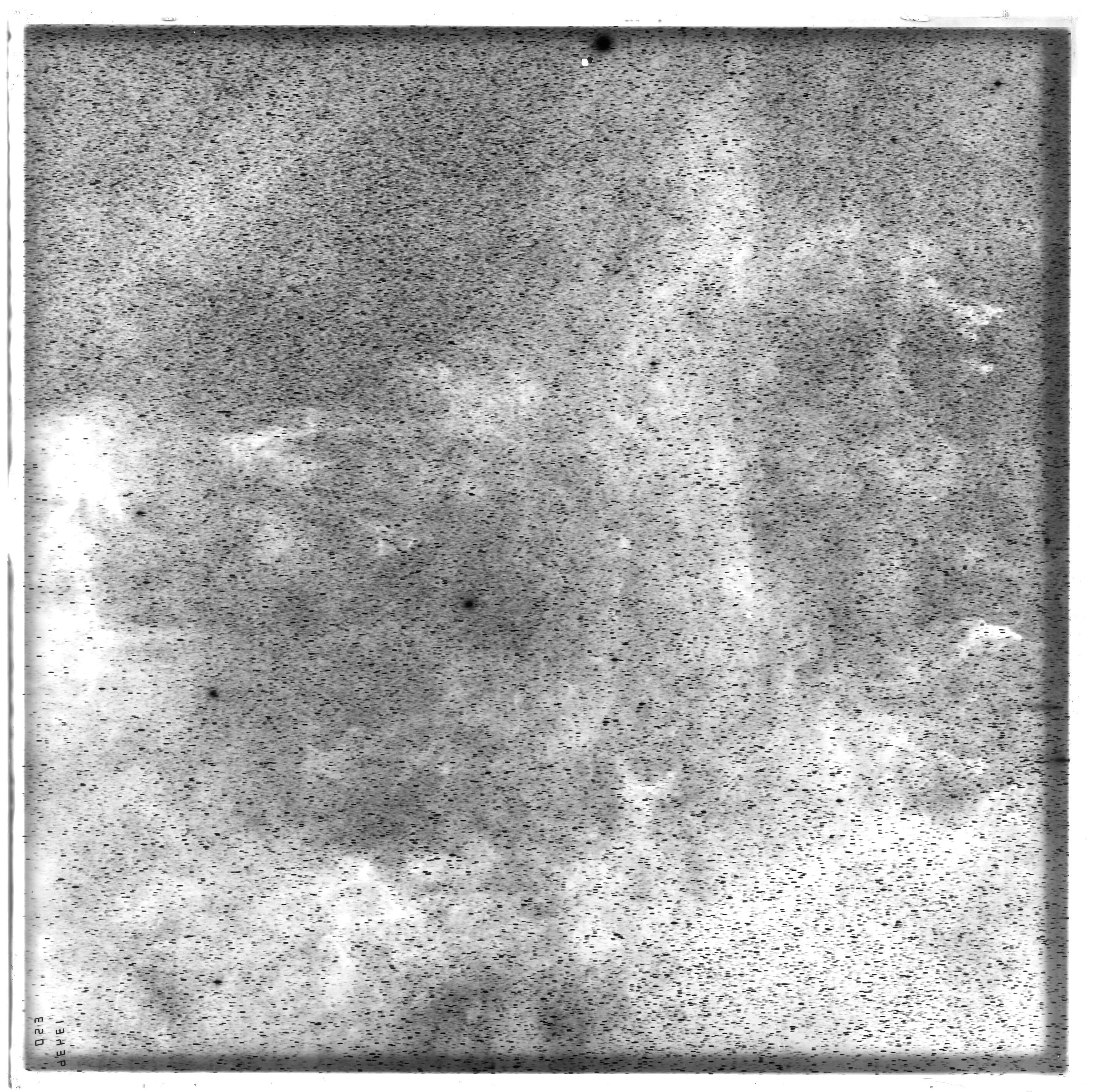 Scan ES13436a