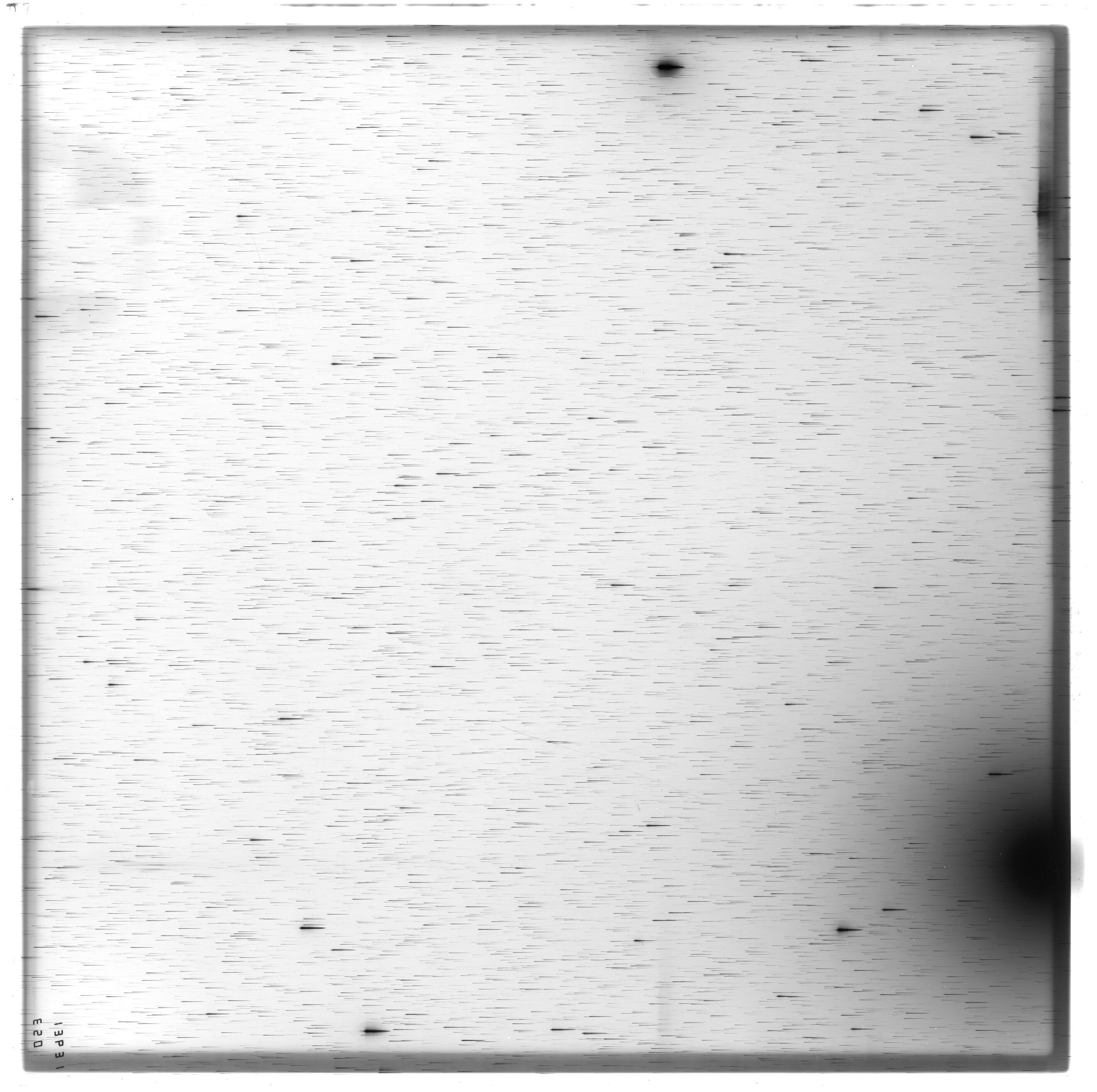 Scan ES13631a