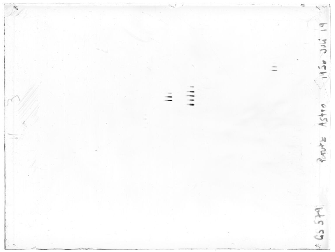 Scan GS00579
