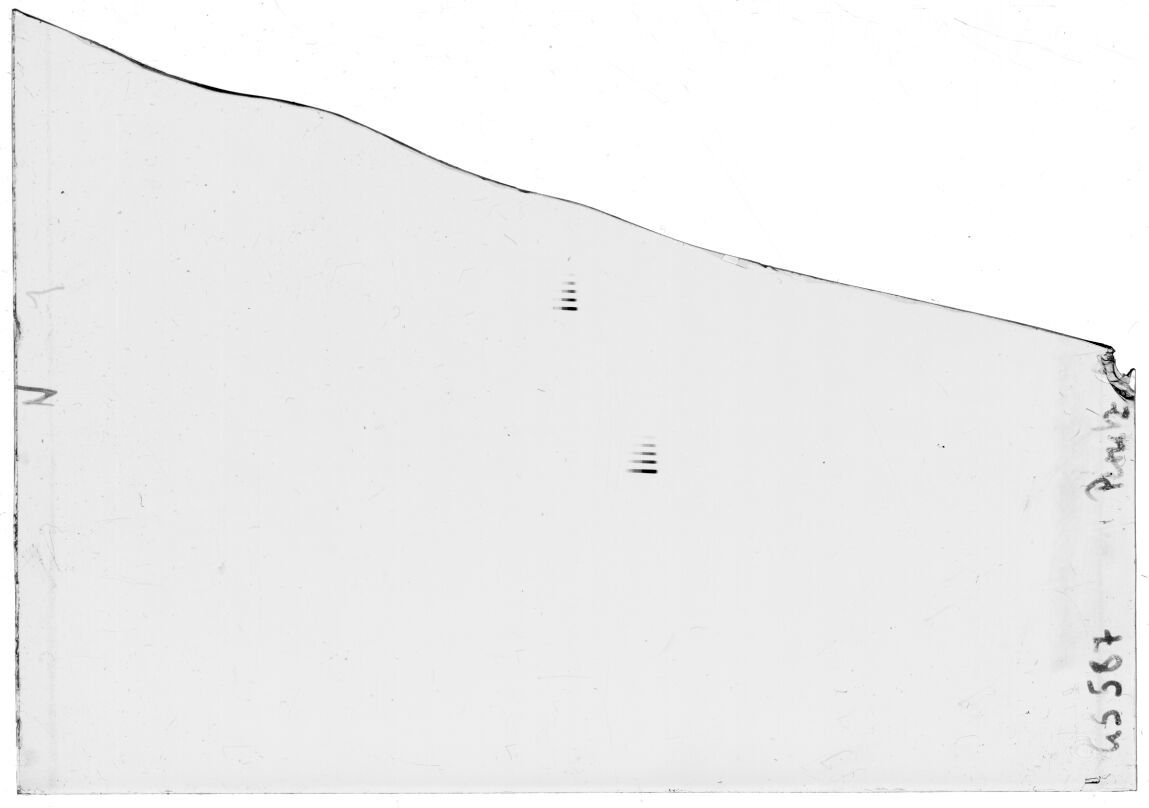 Scan GS00587