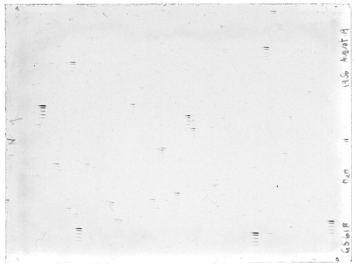 Scan GS00618