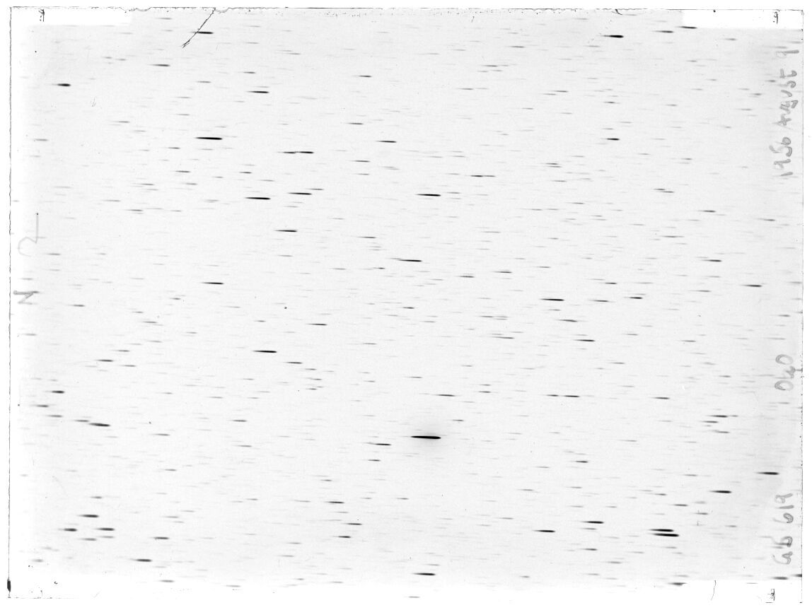 Scan GS00619