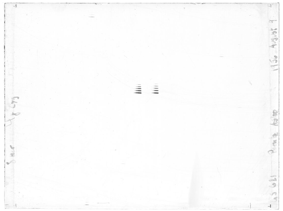 Scan GS00621