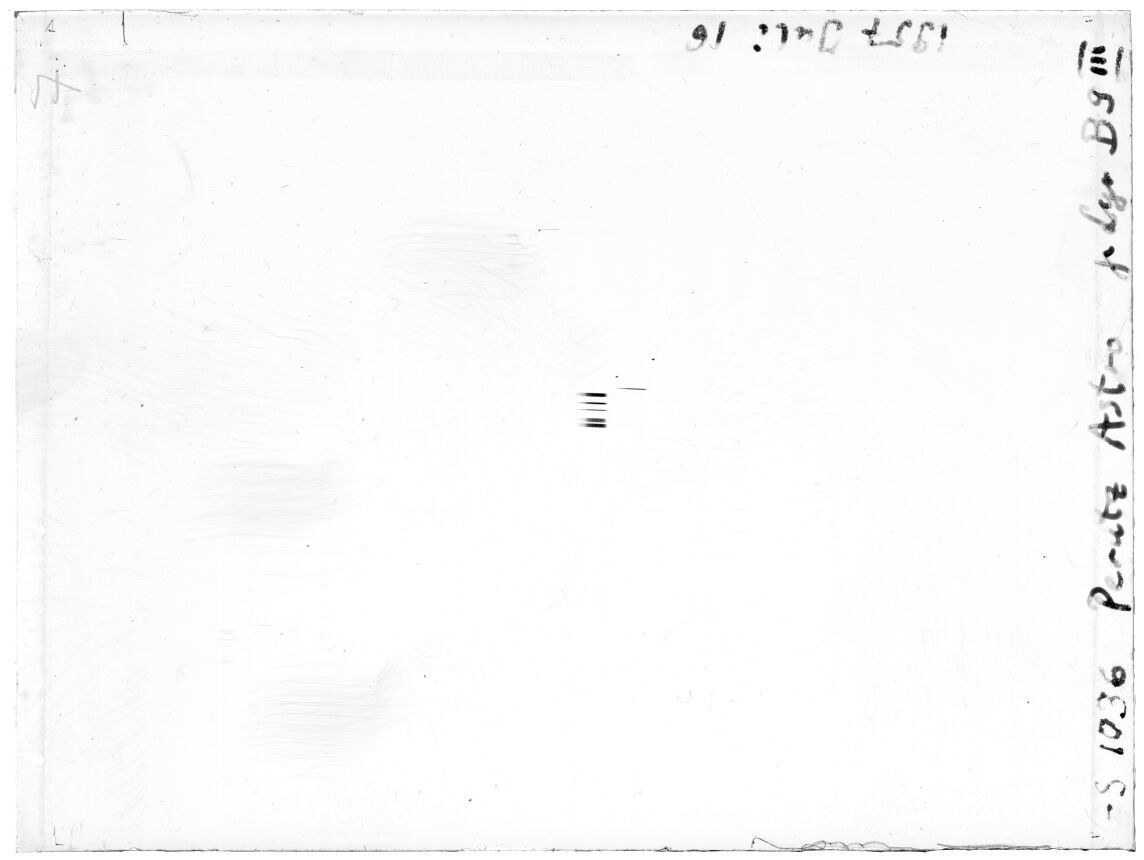 Scan GS01036