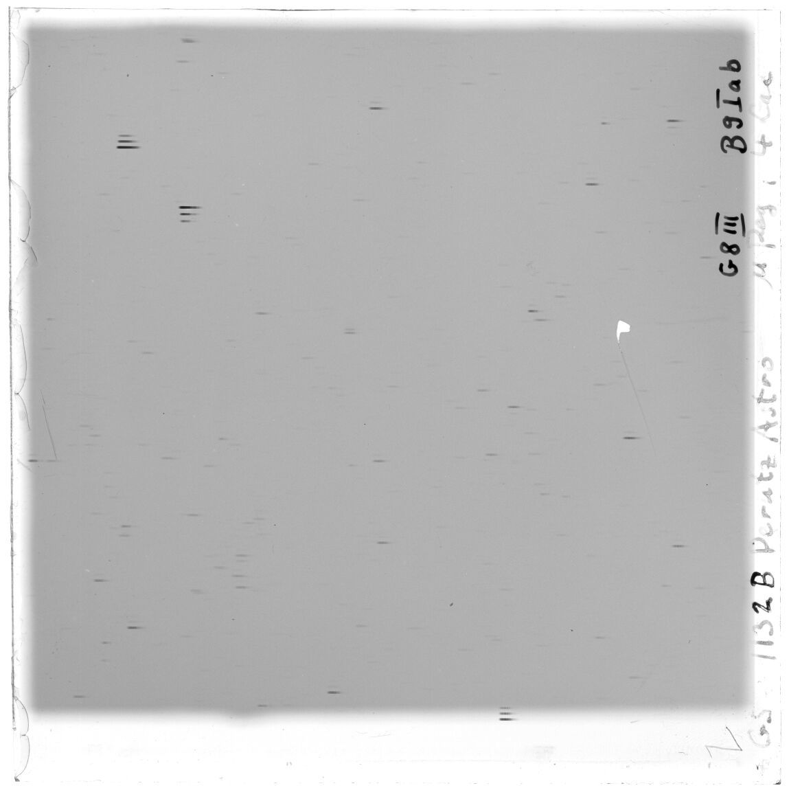 Scan GS01132b