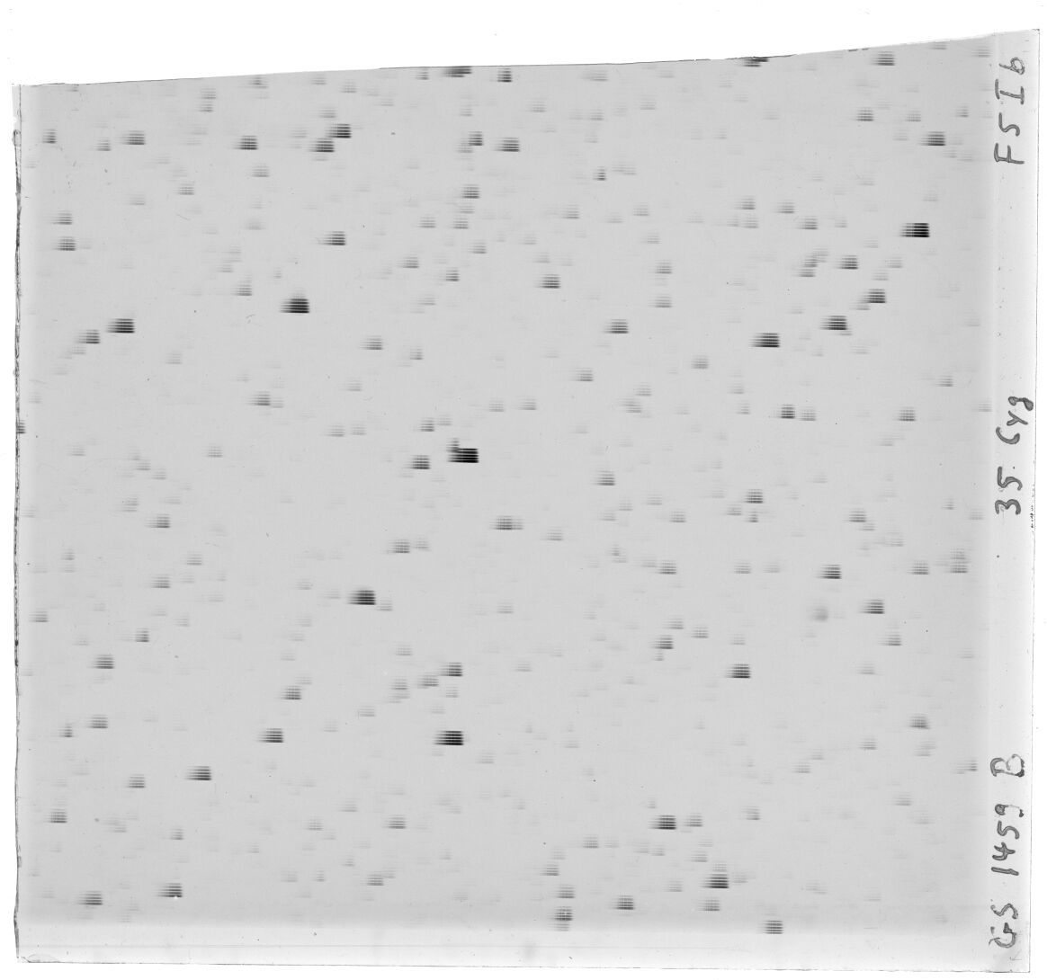 Scan GS01459b