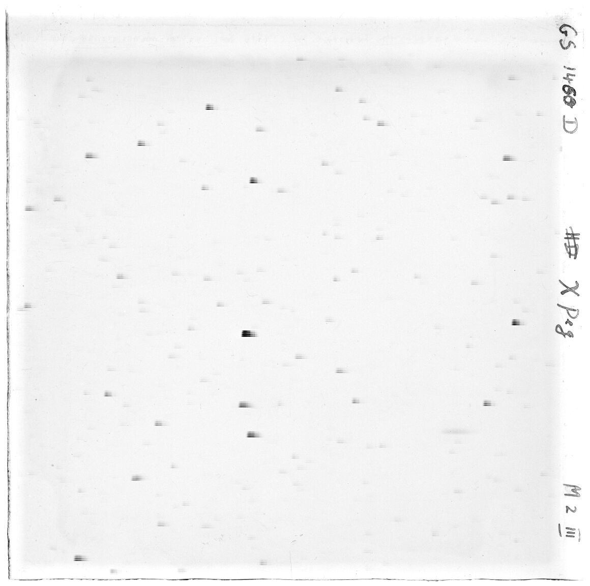 Scan GS01460d