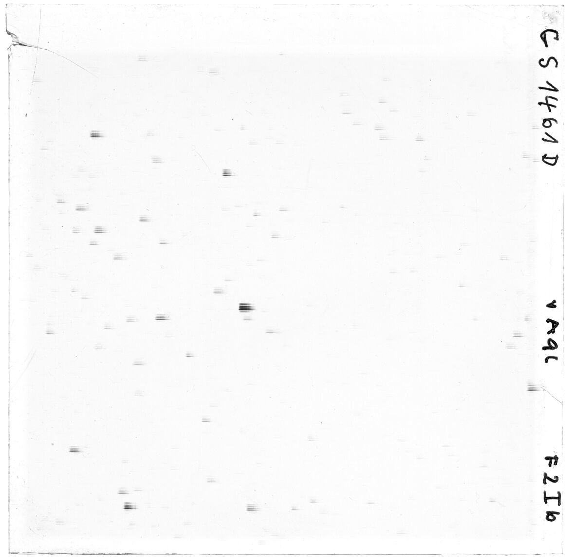 Scan GS01461d