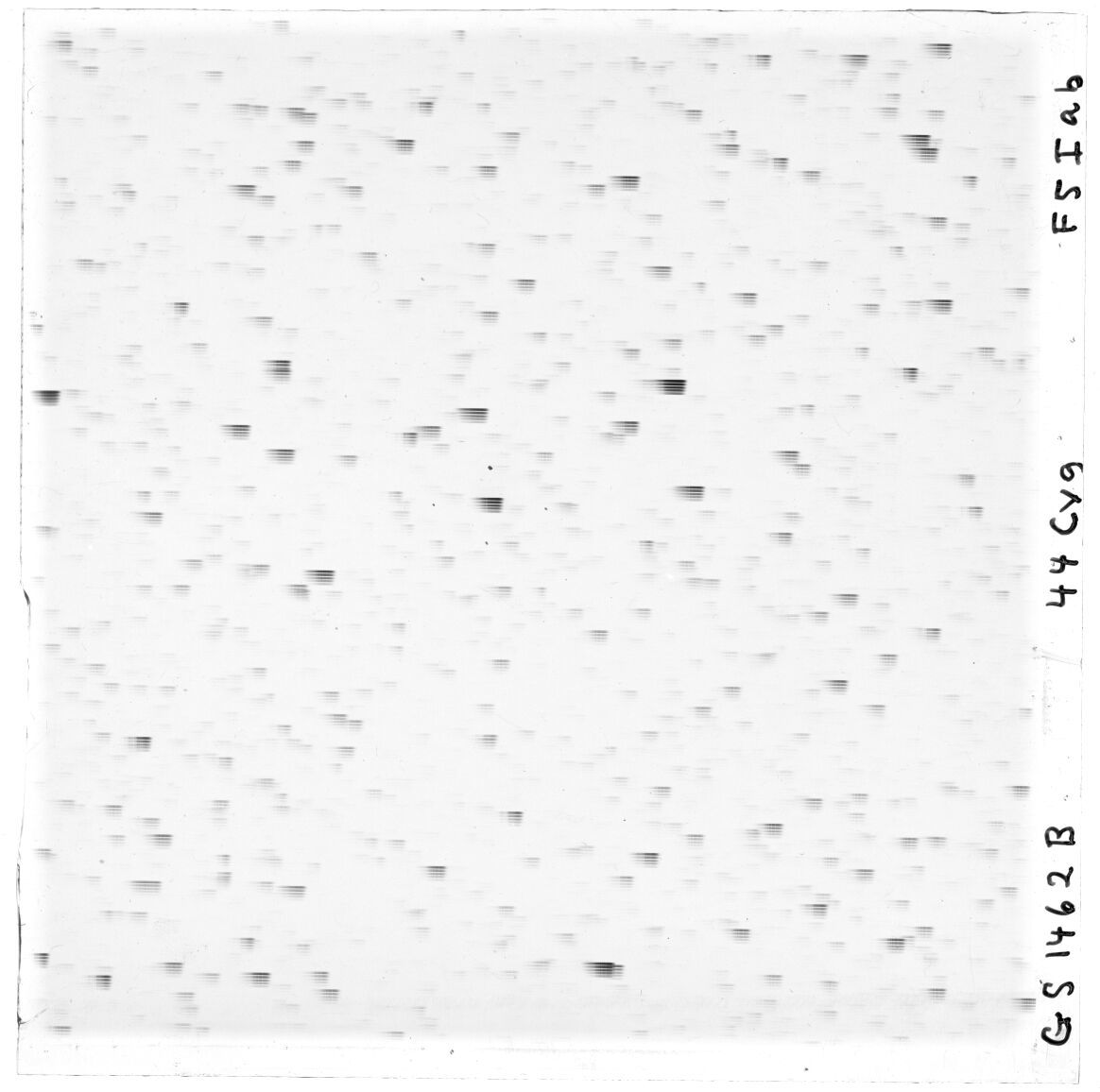 Scan GS01462b