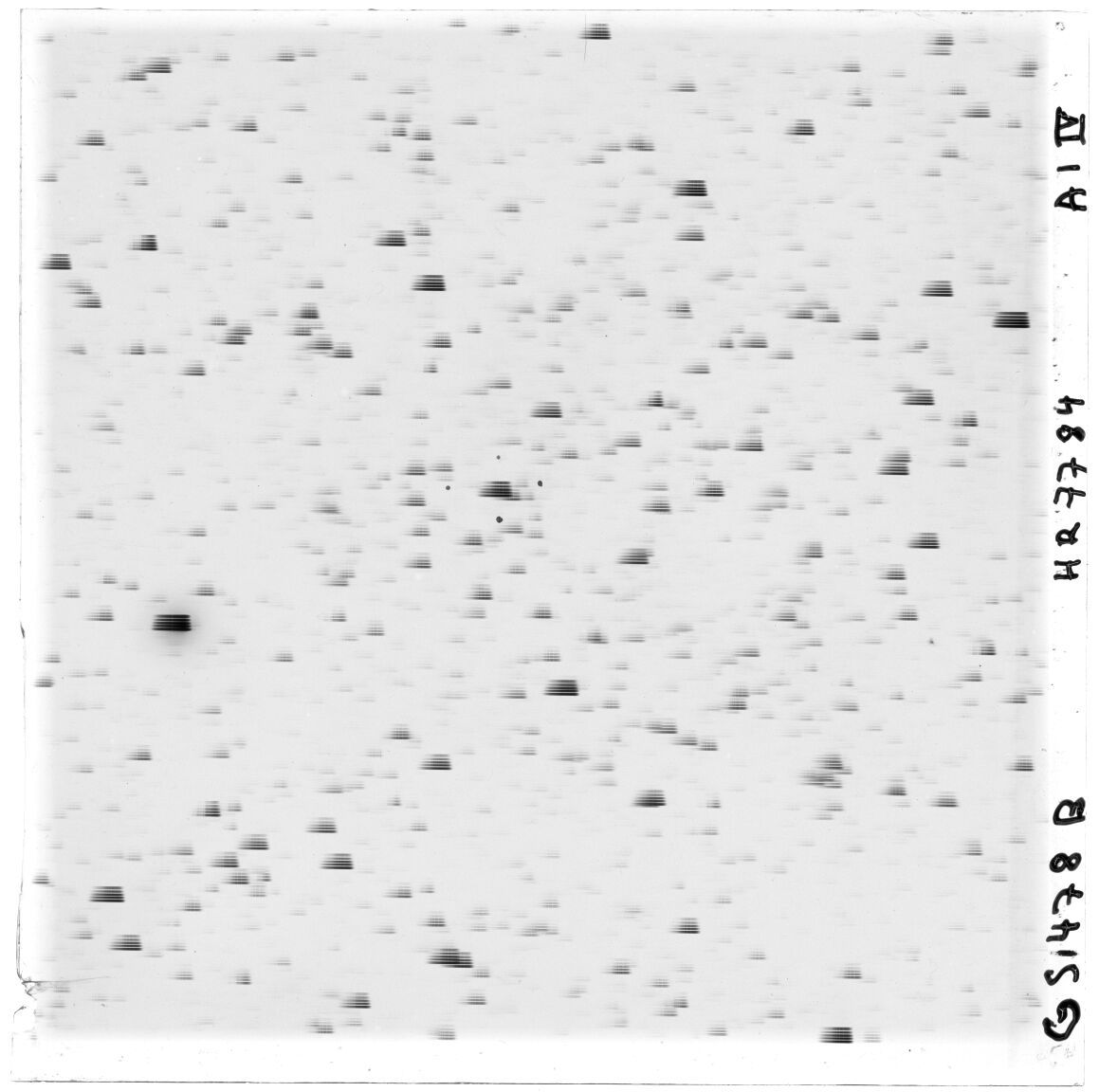 Scan GS01478b