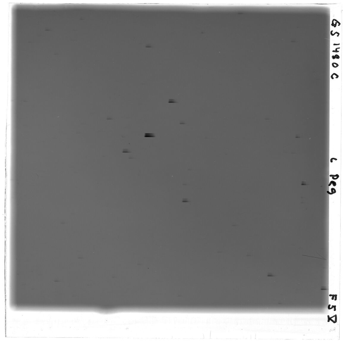 Scan GS01480c