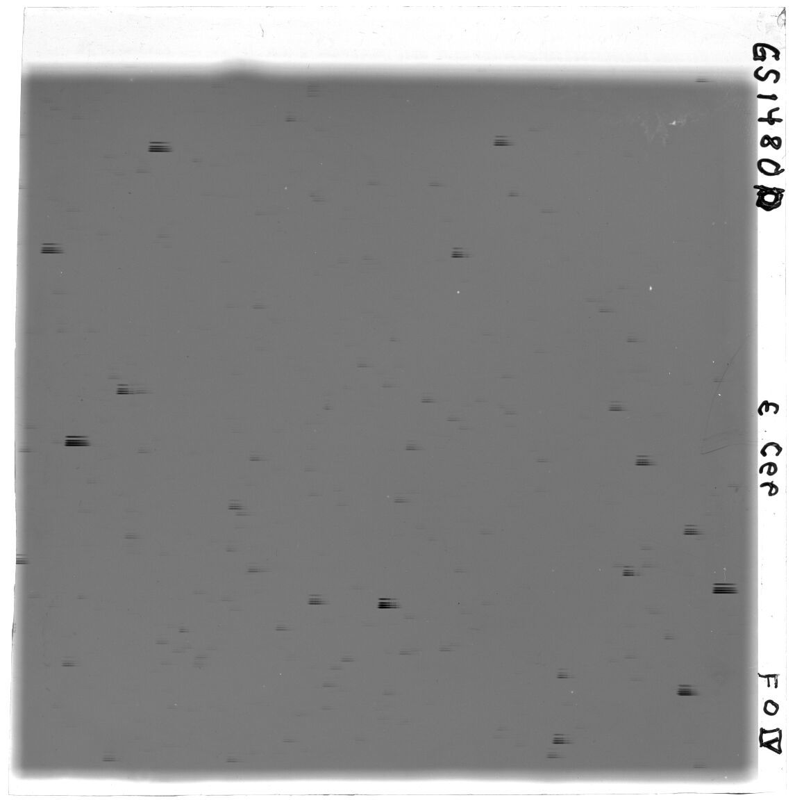 Scan GS01480d