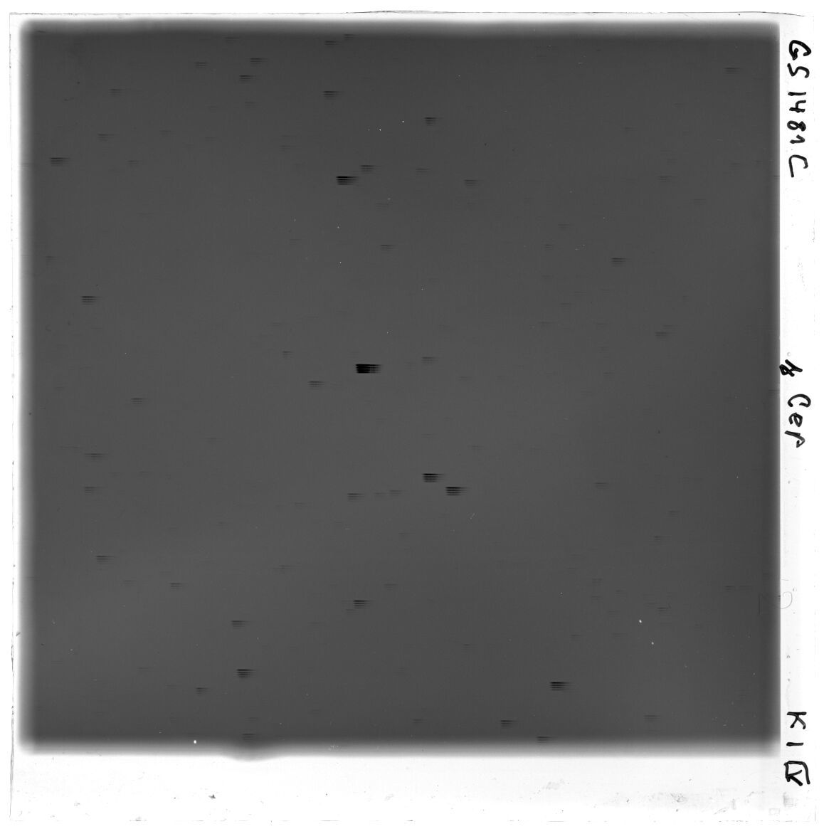 Scan GS01481c