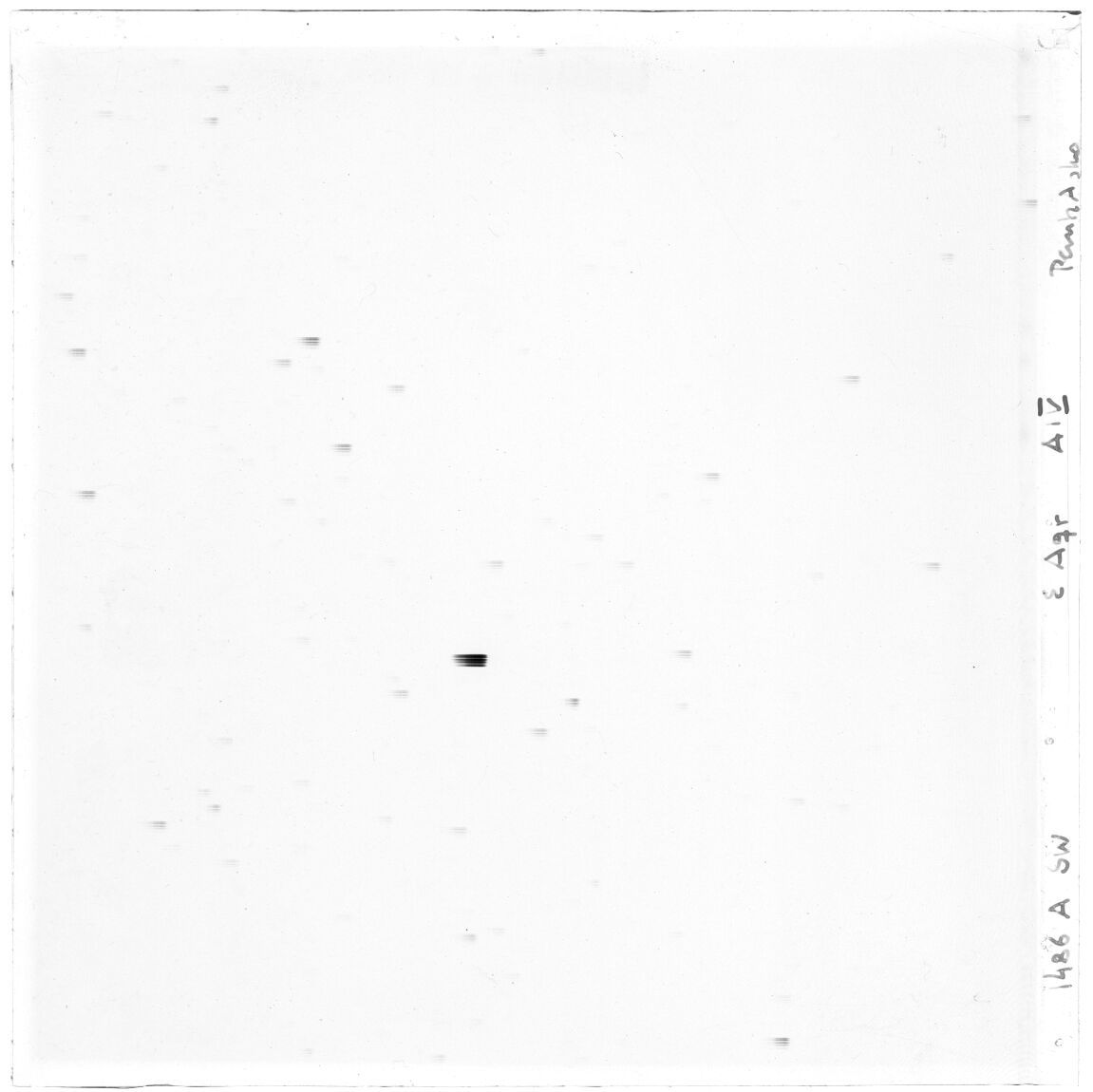 Scan GS01486a