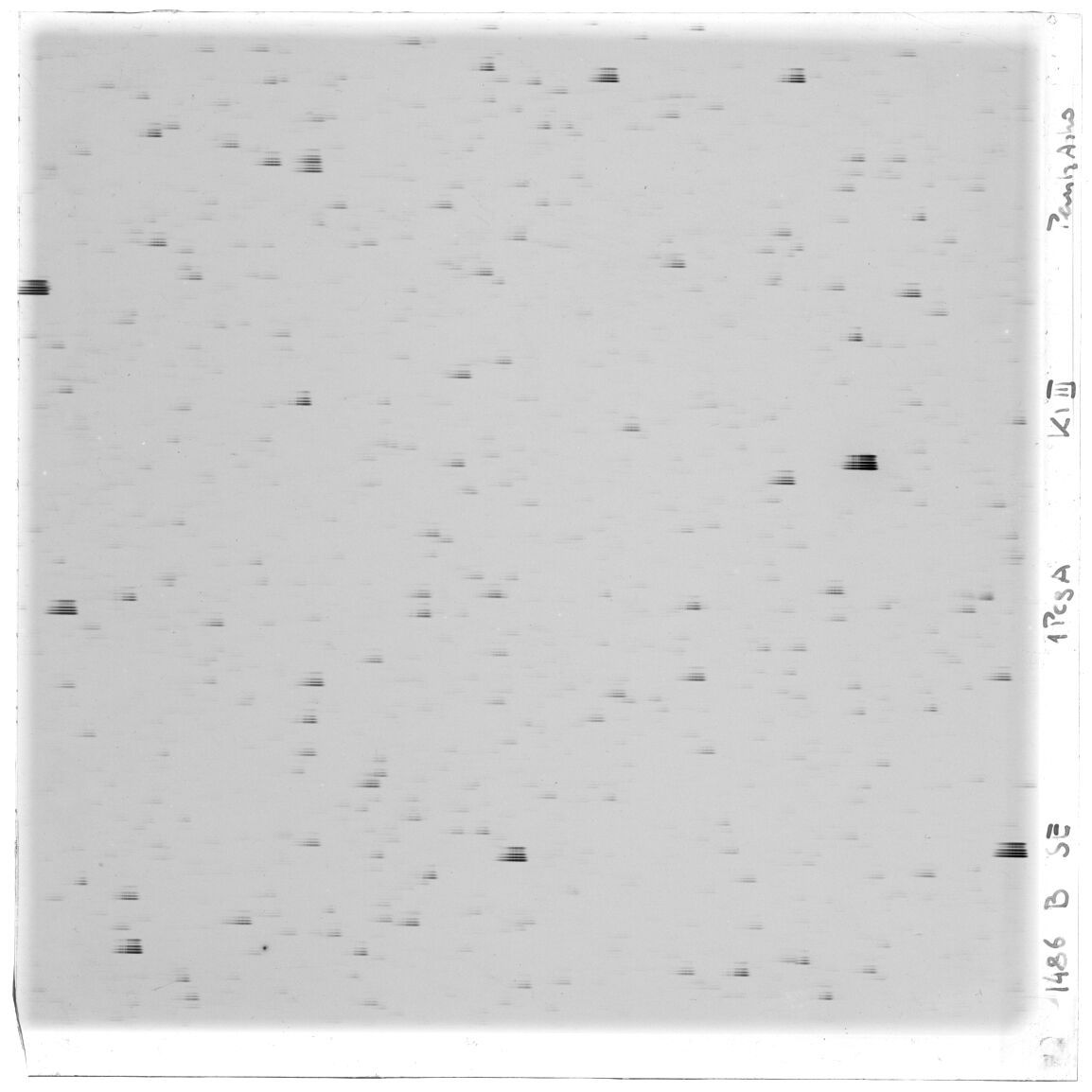 Scan GS01486b