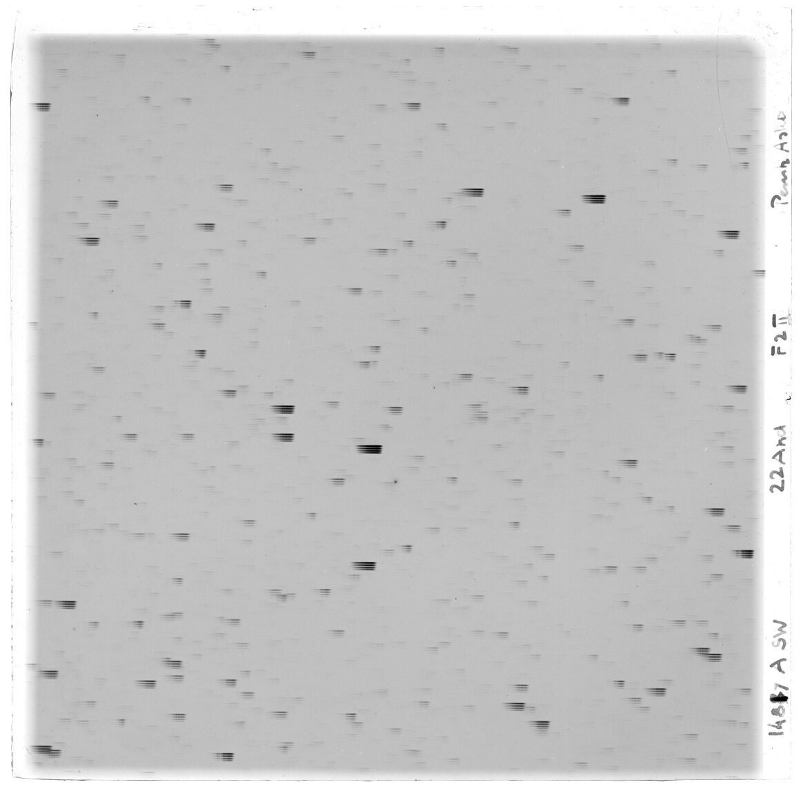 Scan GS01487a