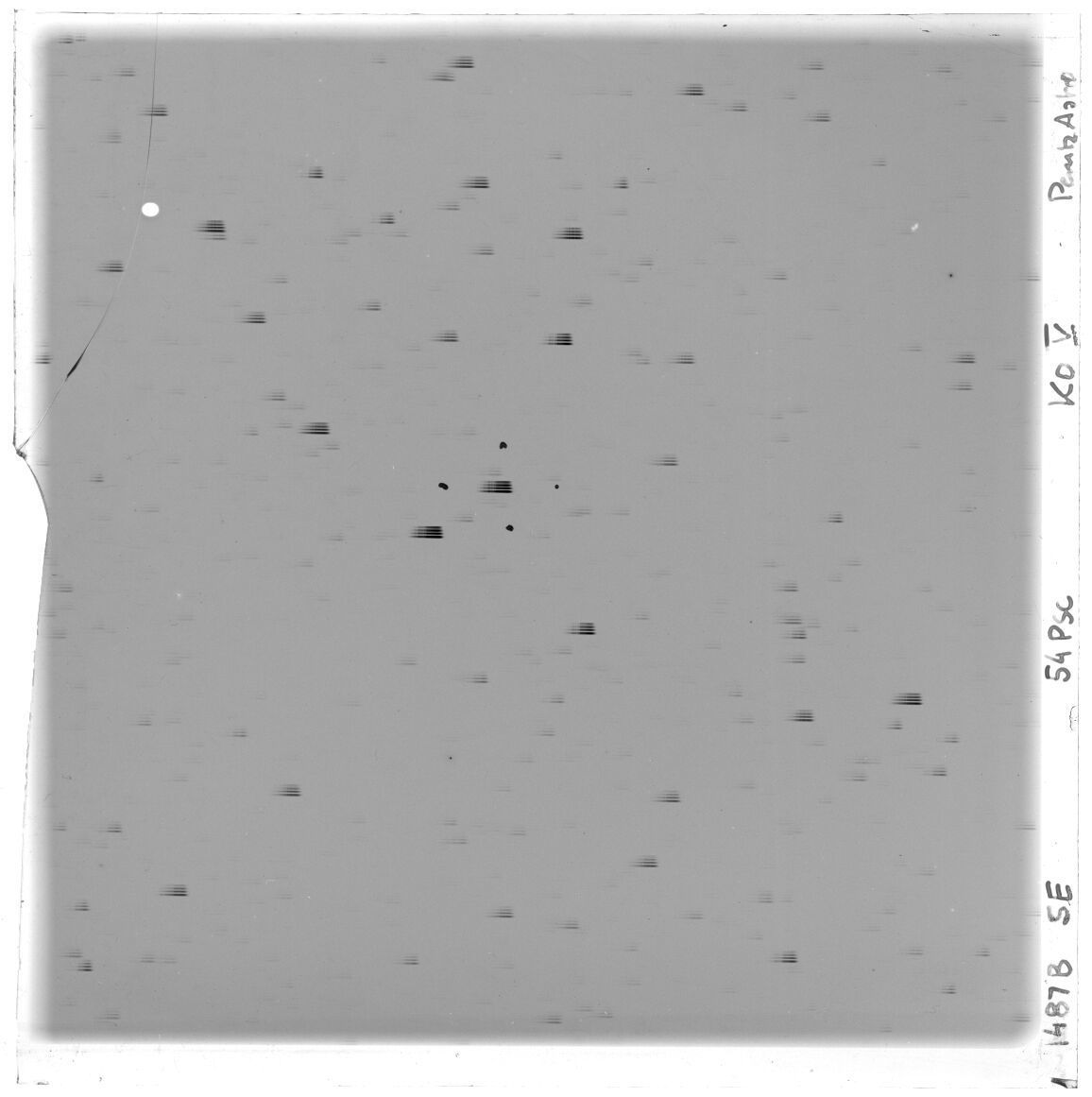 Scan GS01487b