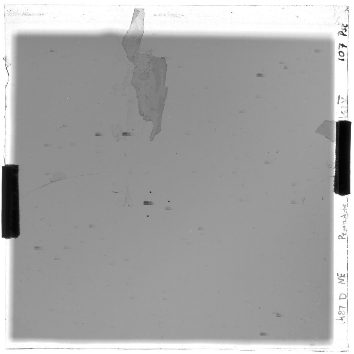 Scan GS01487d
