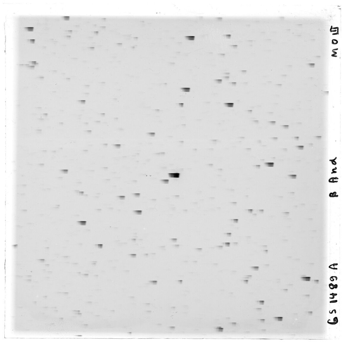 Scan GS01489a