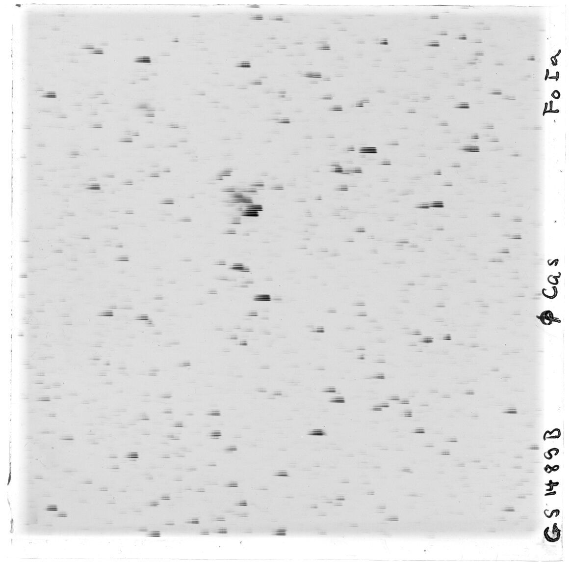 Scan GS01489b