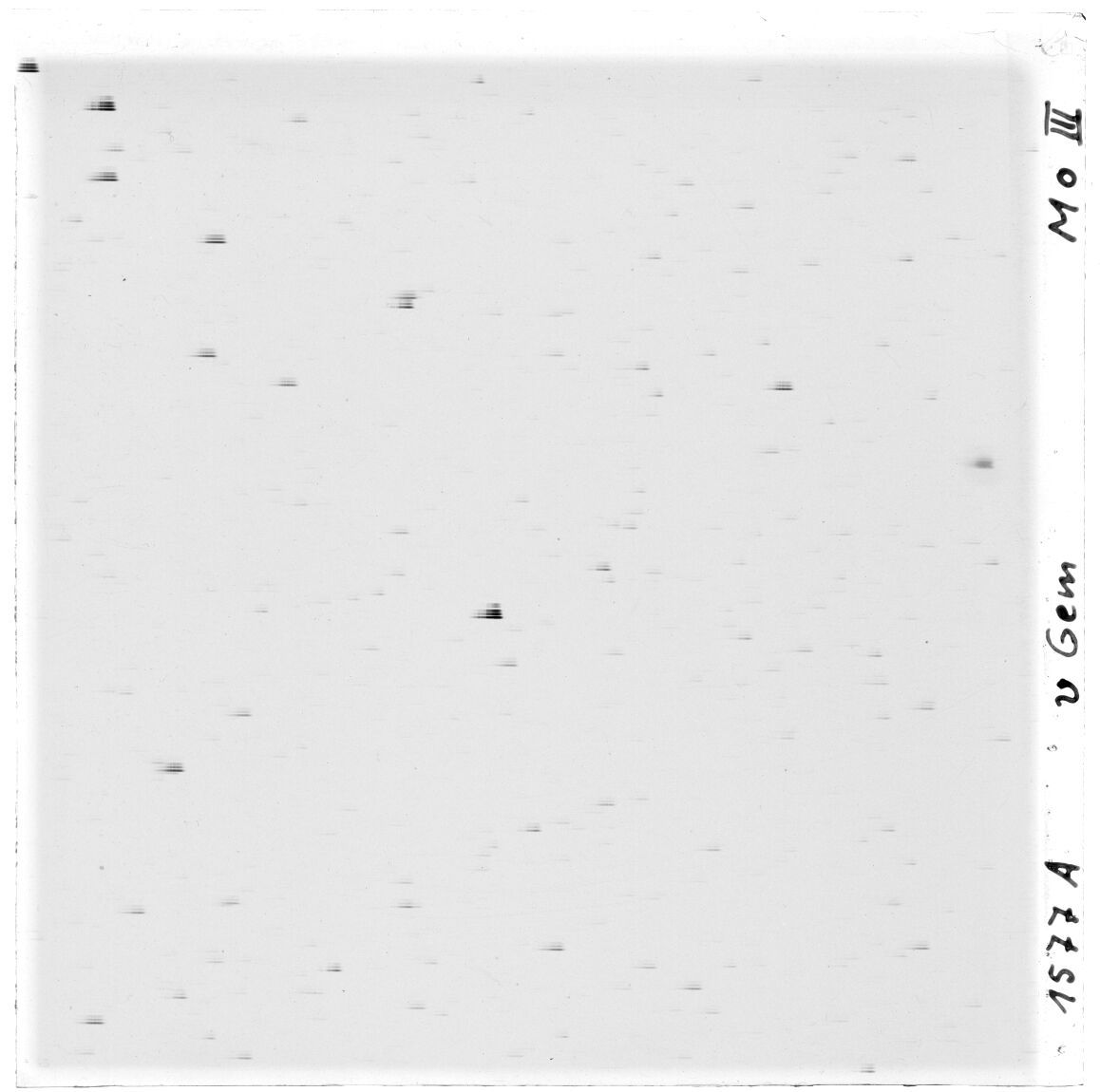 Scan GS01577a