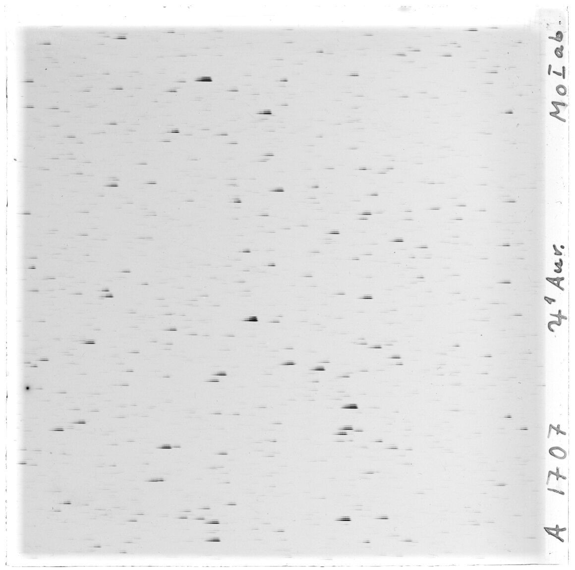 Scan GS01707a