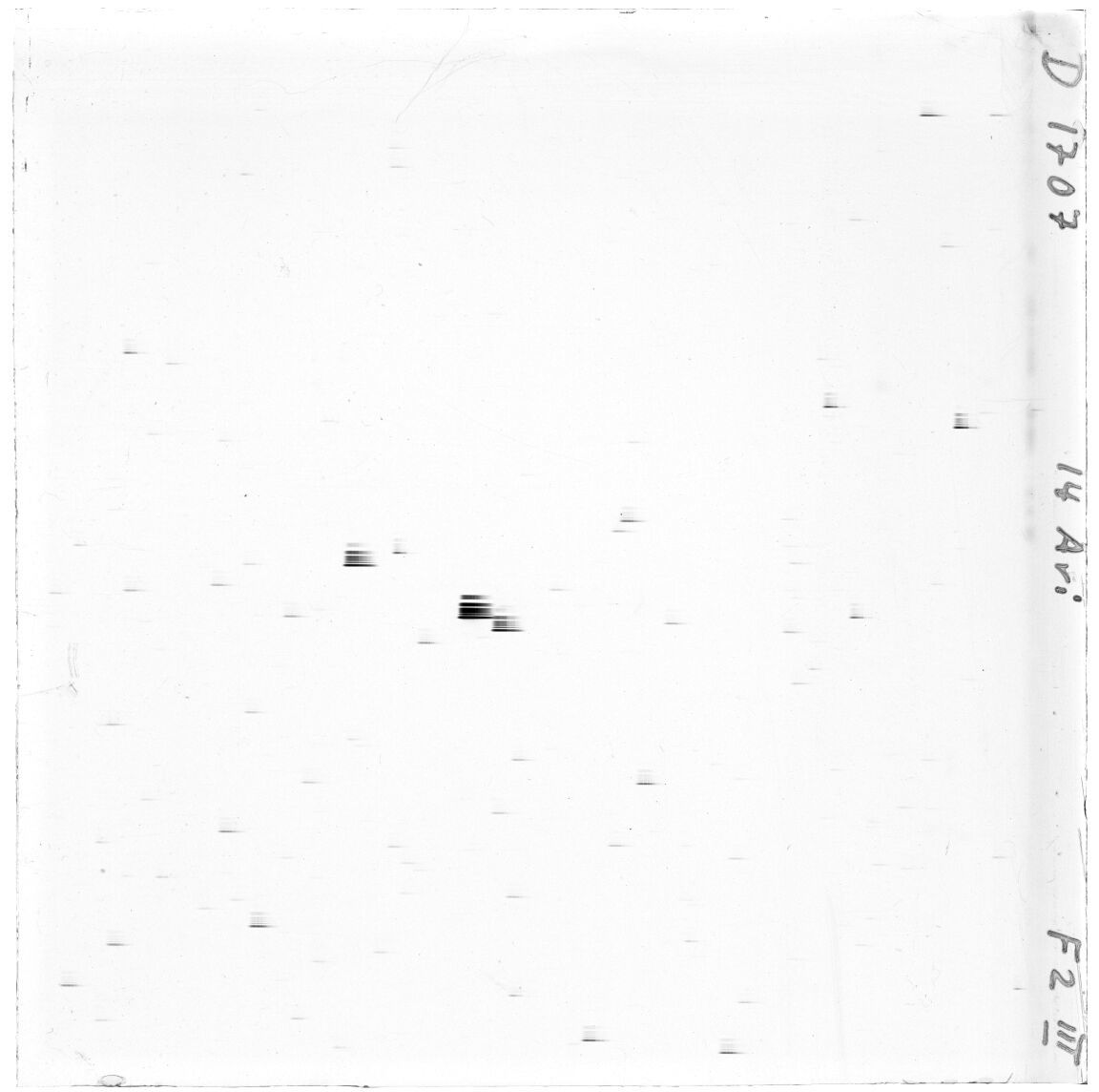 Scan GS01707d