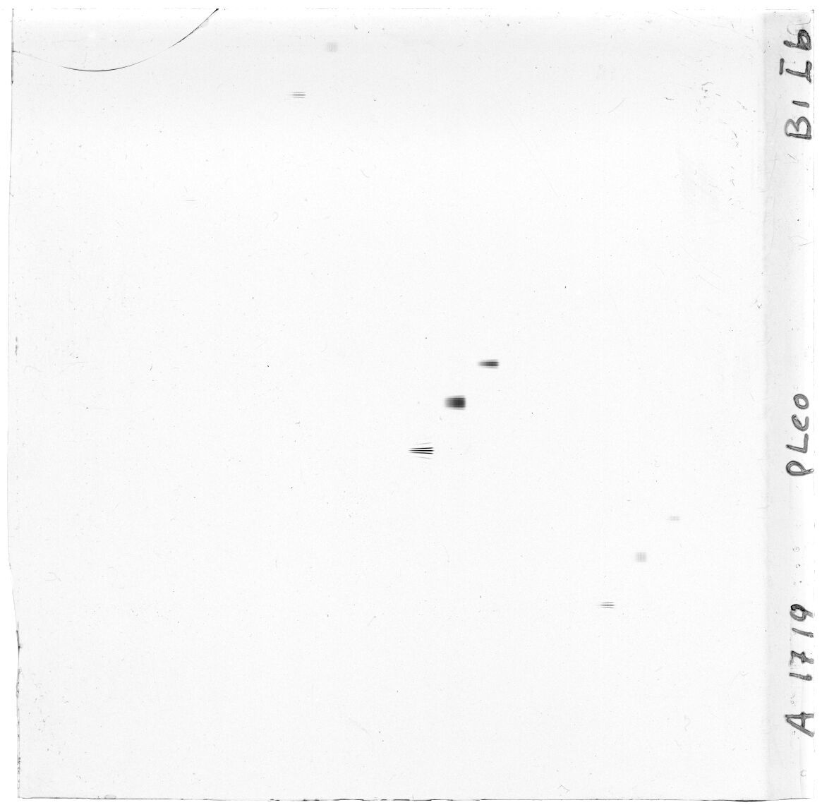 Scan GS01719a