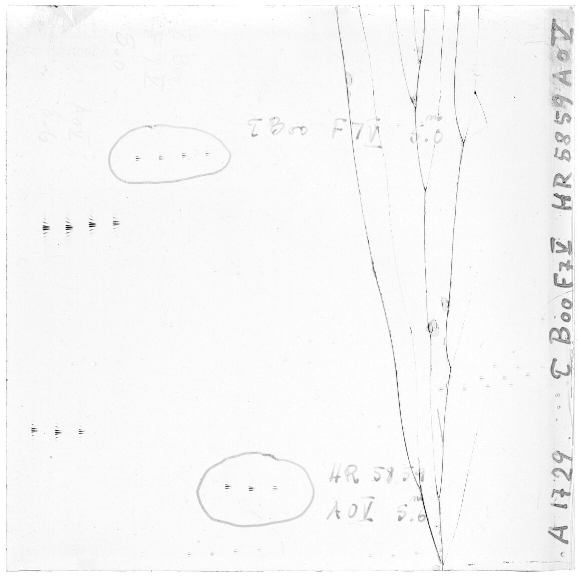 Scan GS01729a
