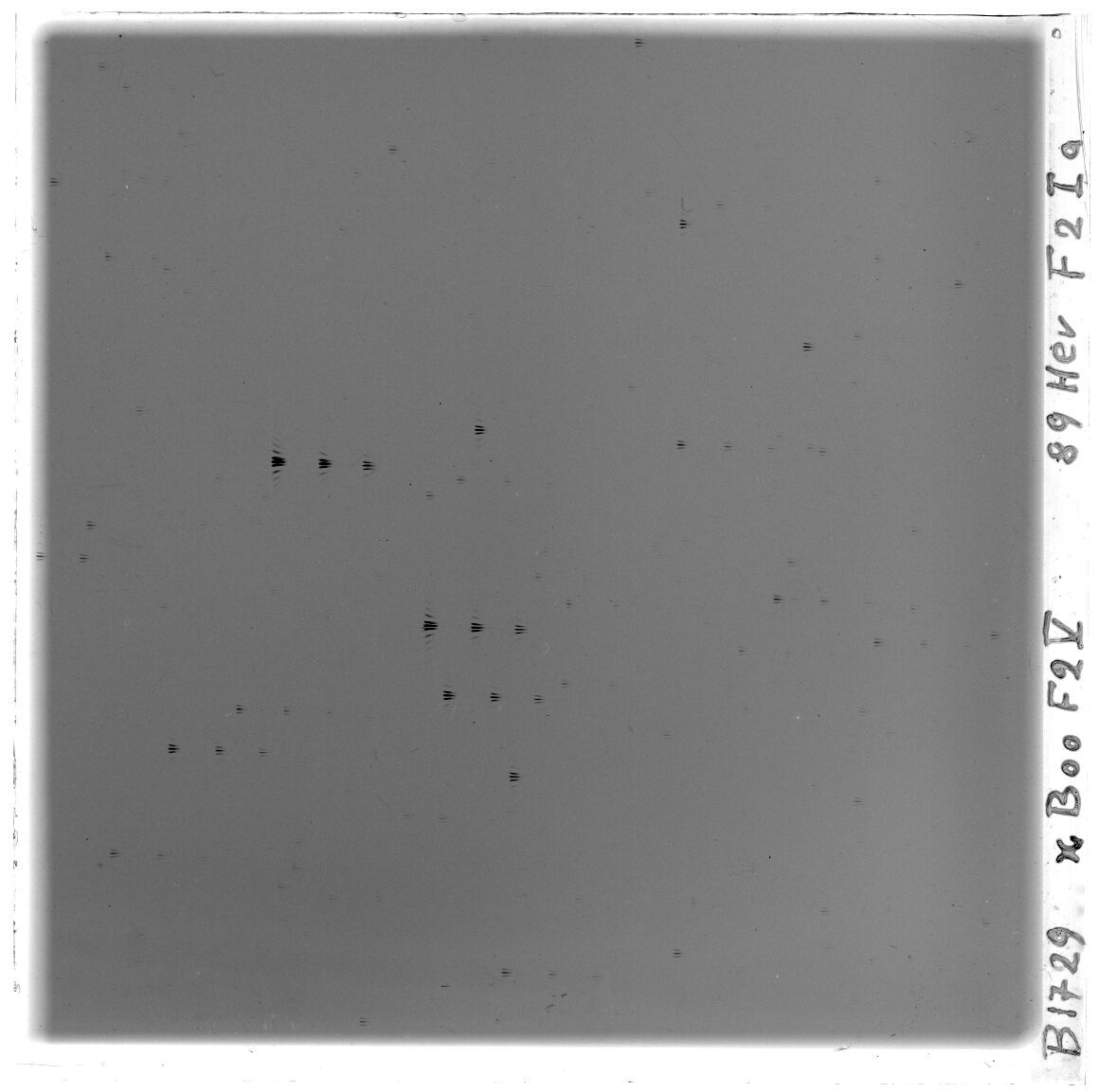 Scan GS01729b