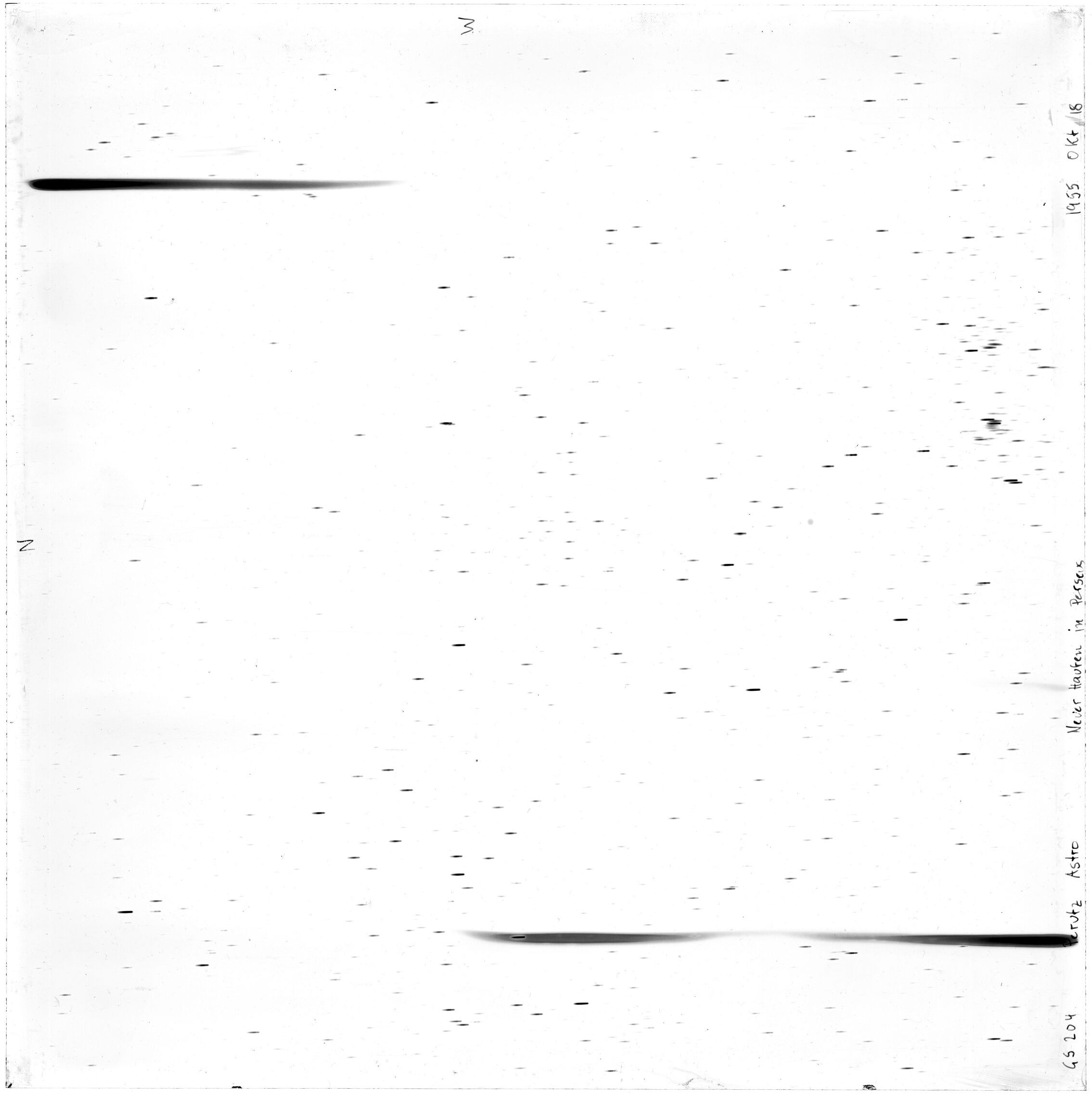 Scan GS00204