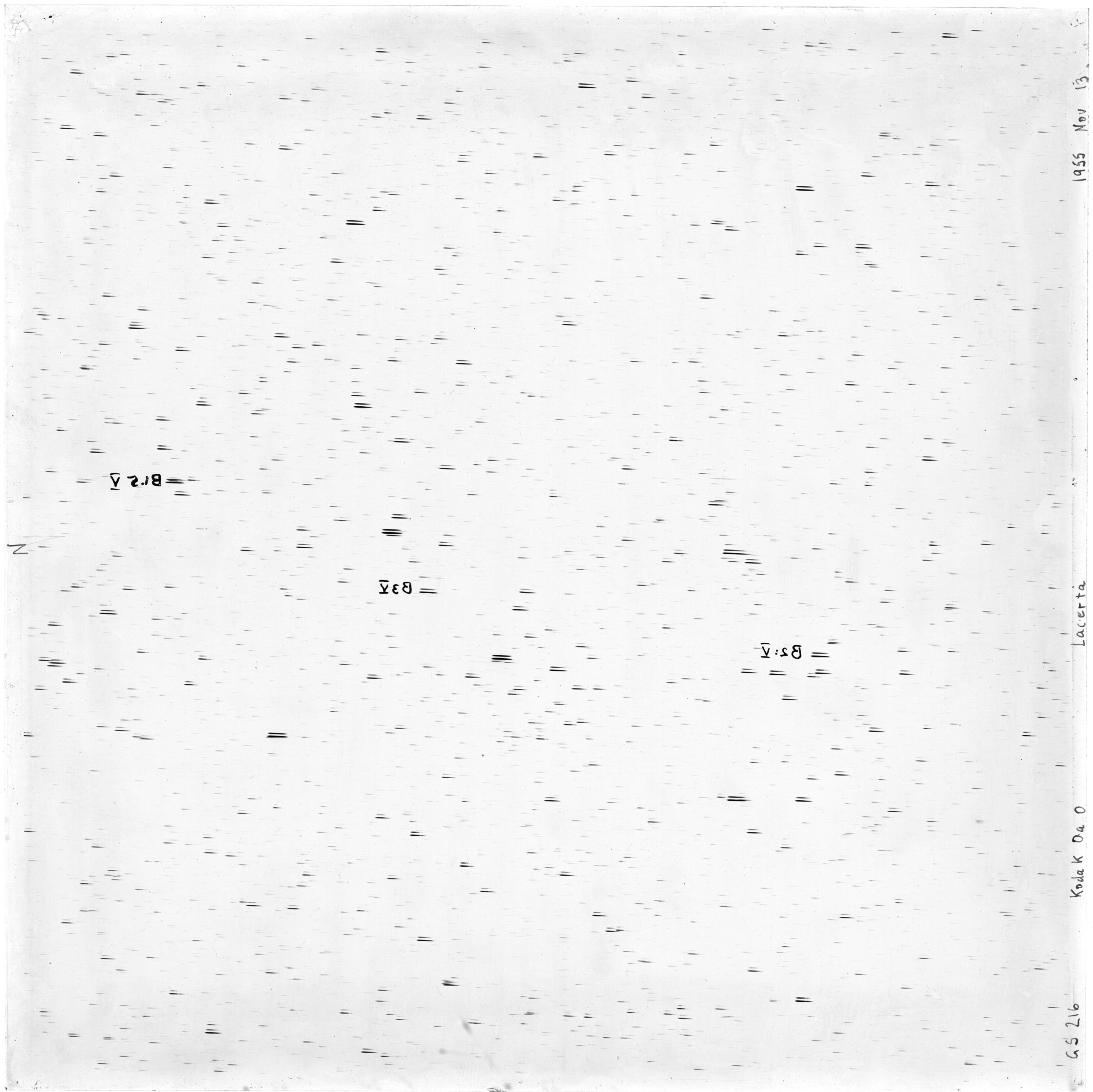 Scan GS00216