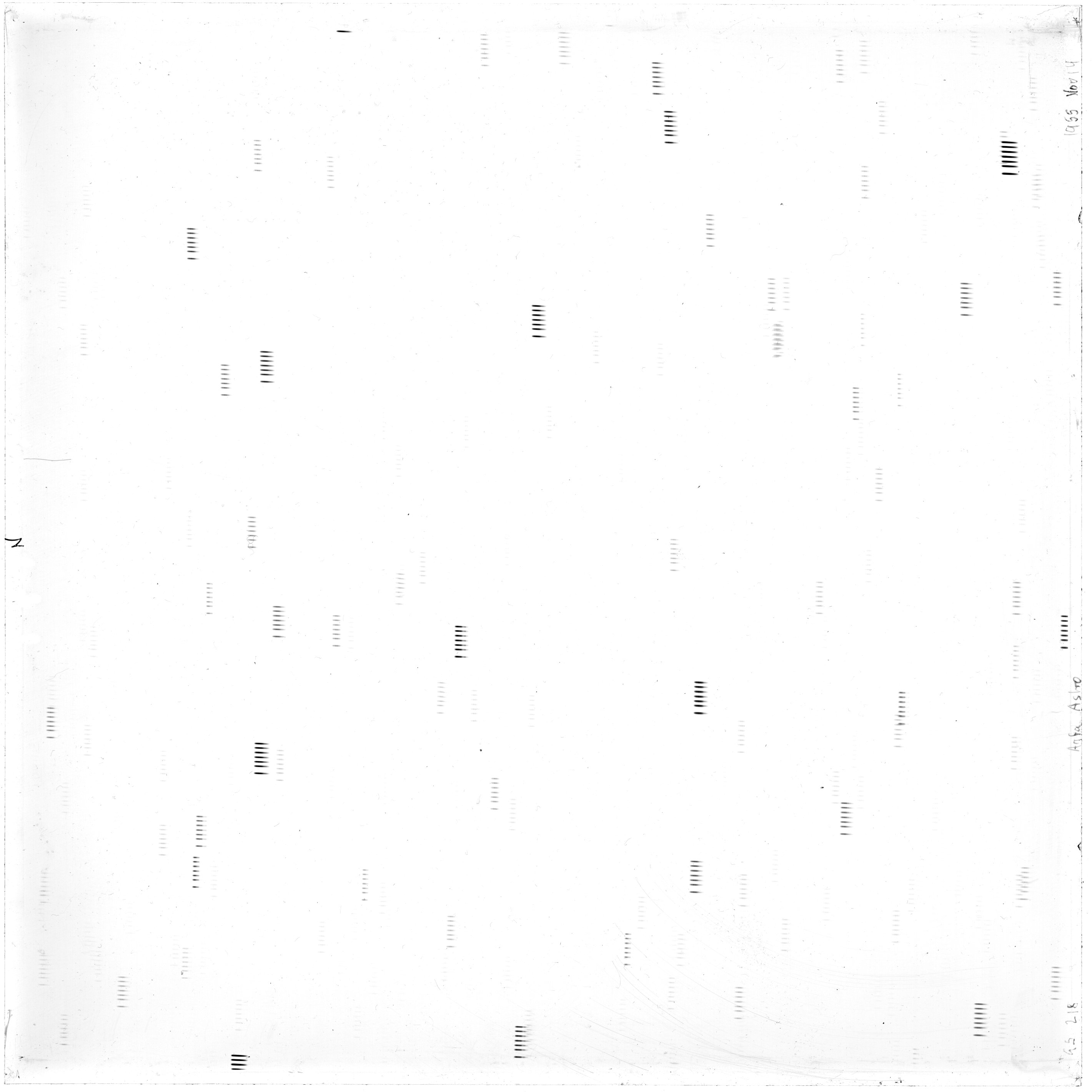 Scan GS00218