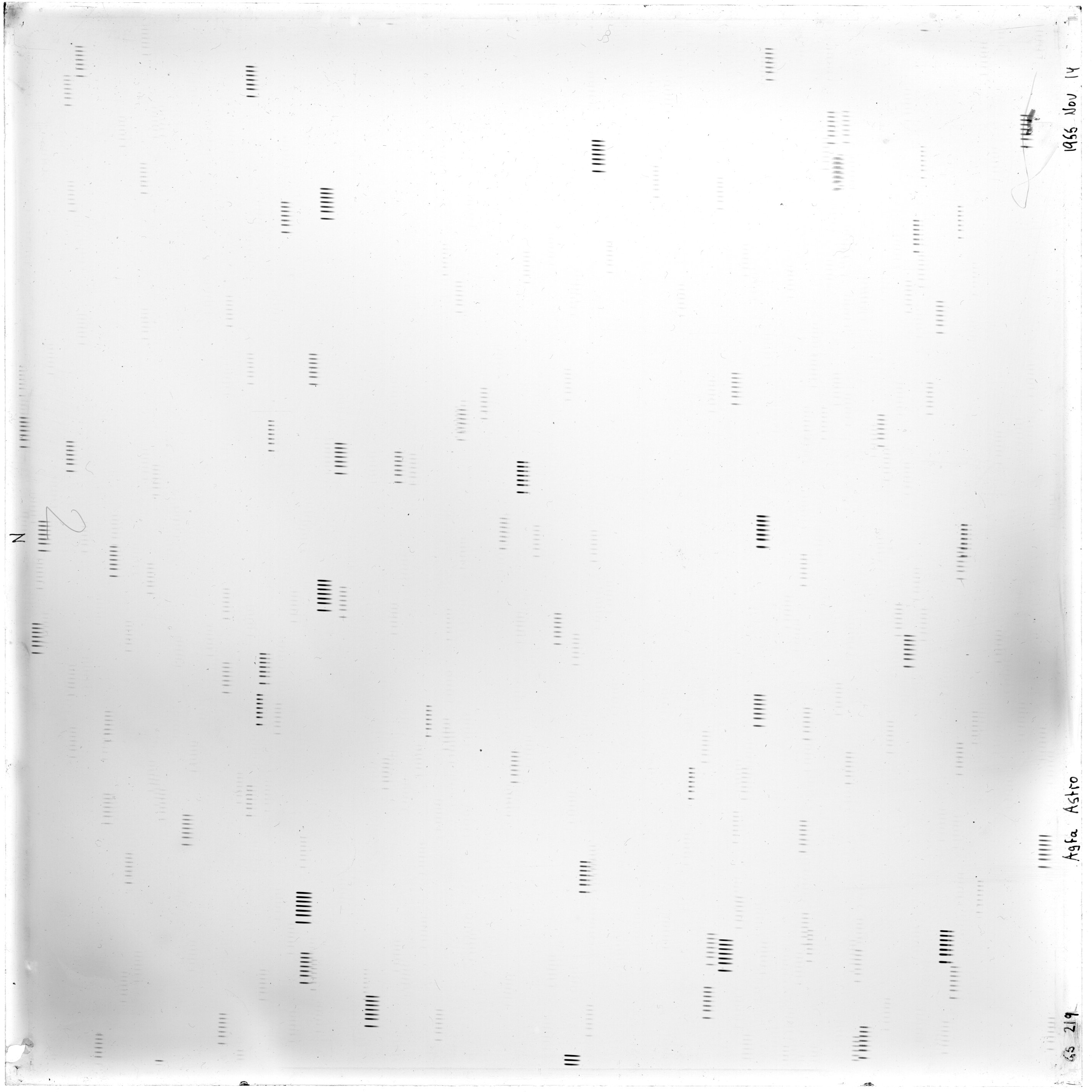 Scan GS00219