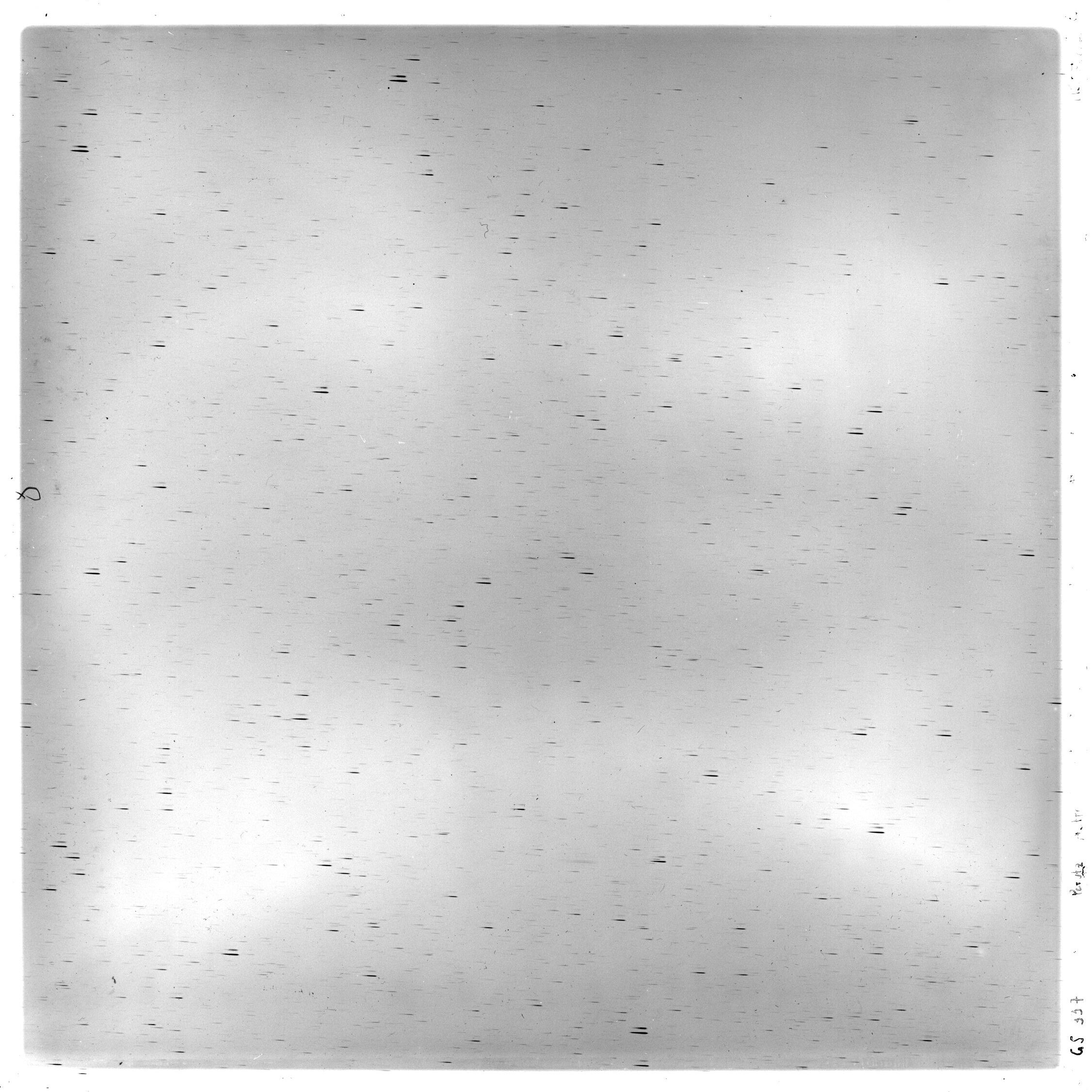 Scan GS00337
