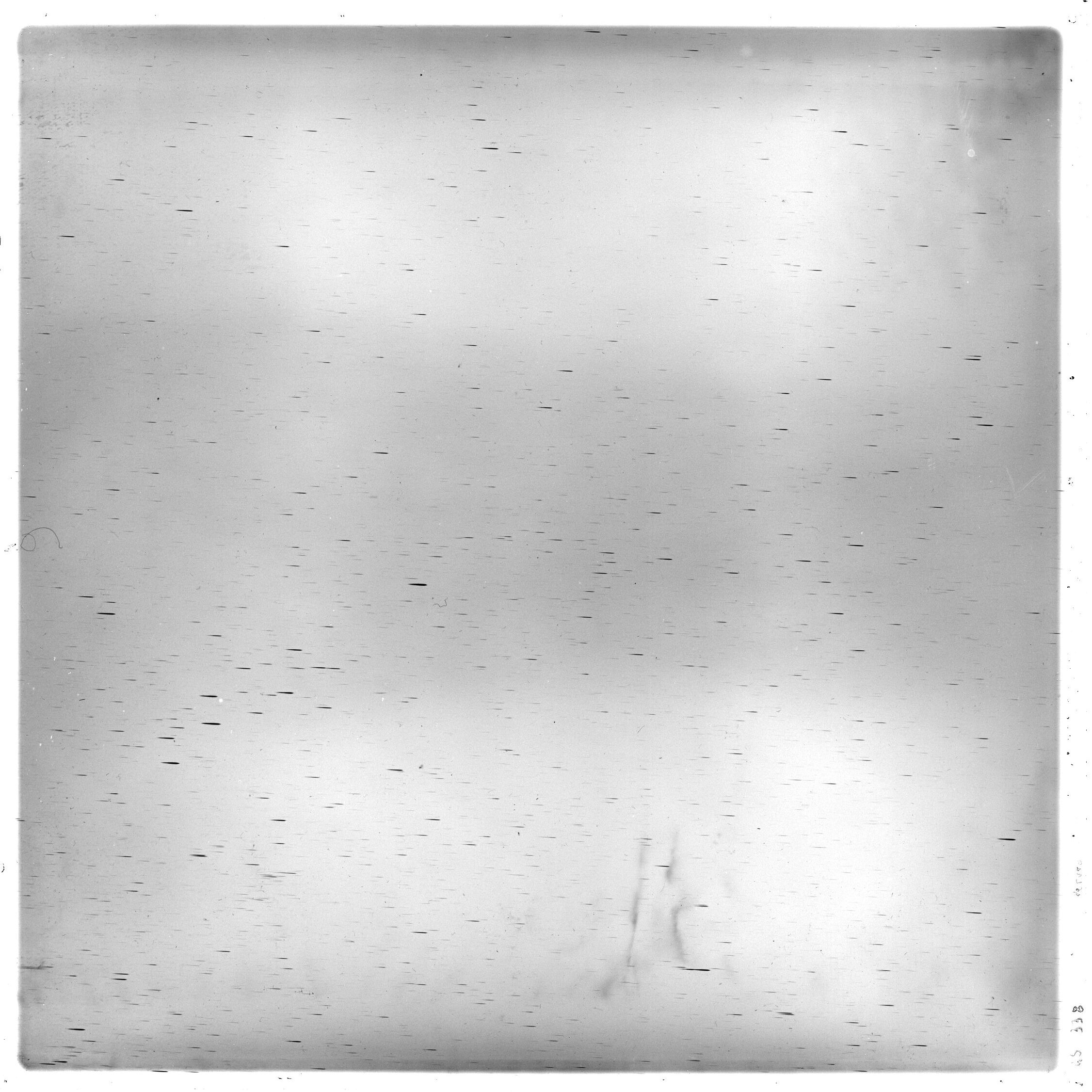 Scan GS00338