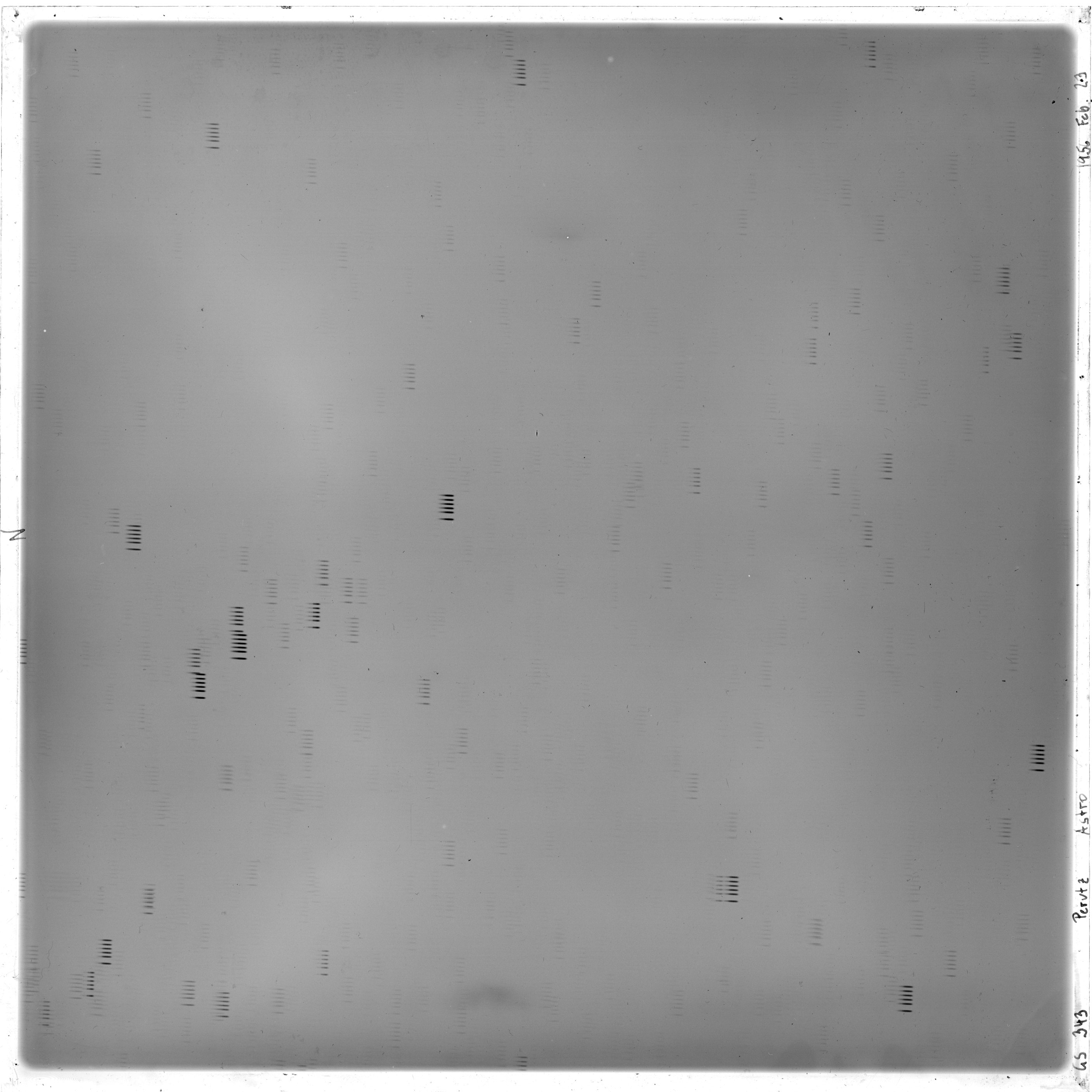 Scan GS00343
