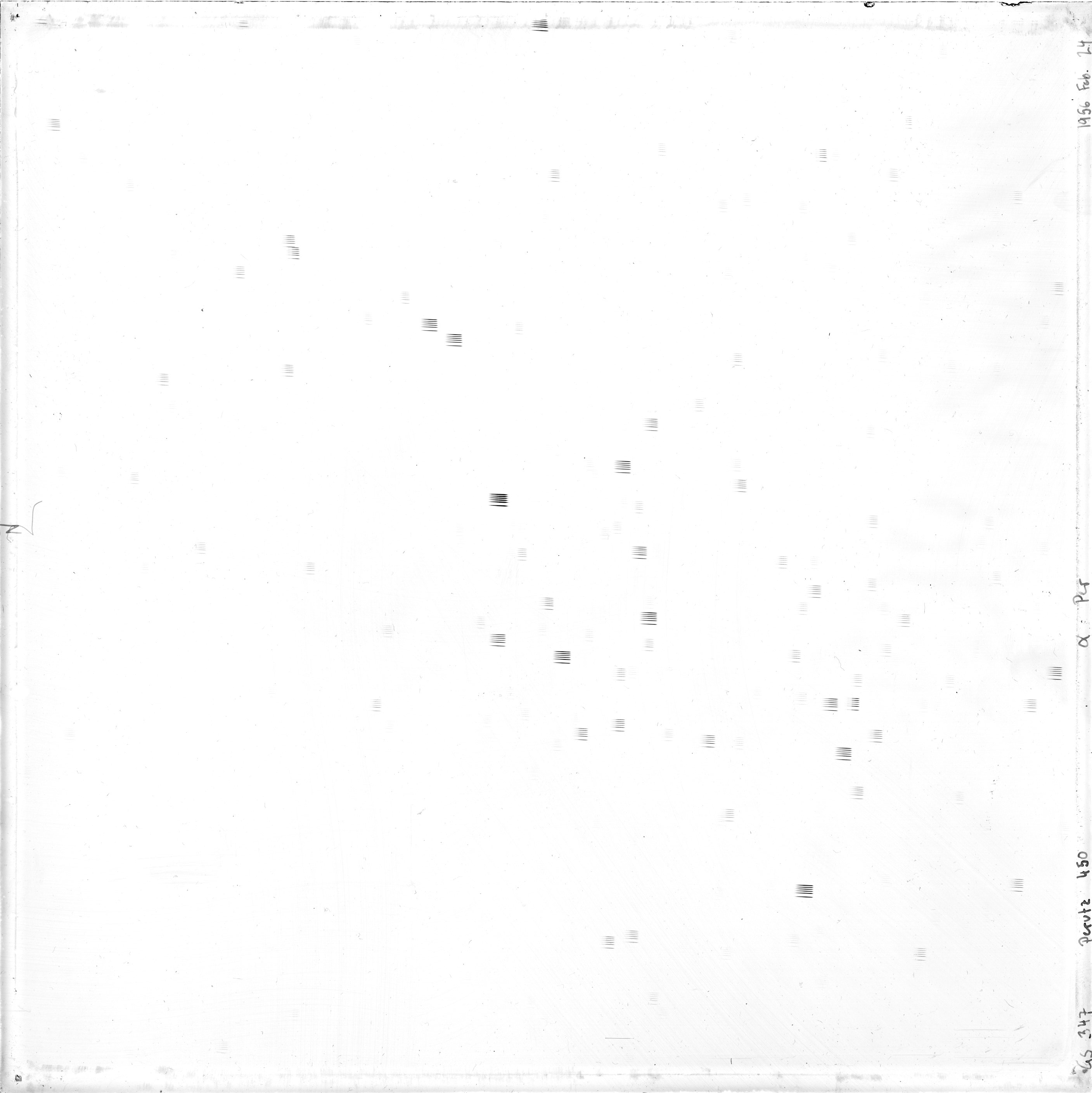 Scan GS00347