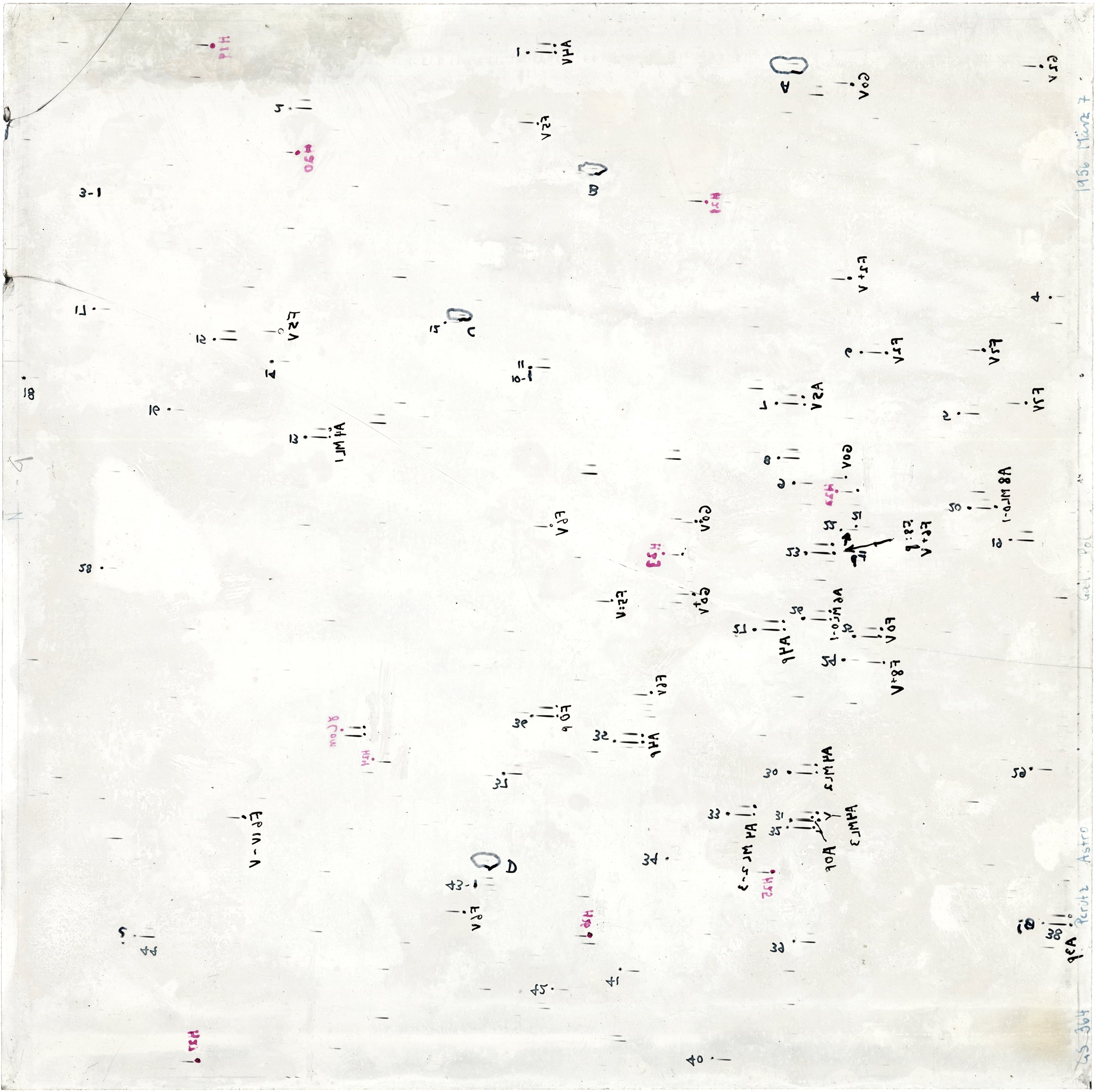 Scan GS00364