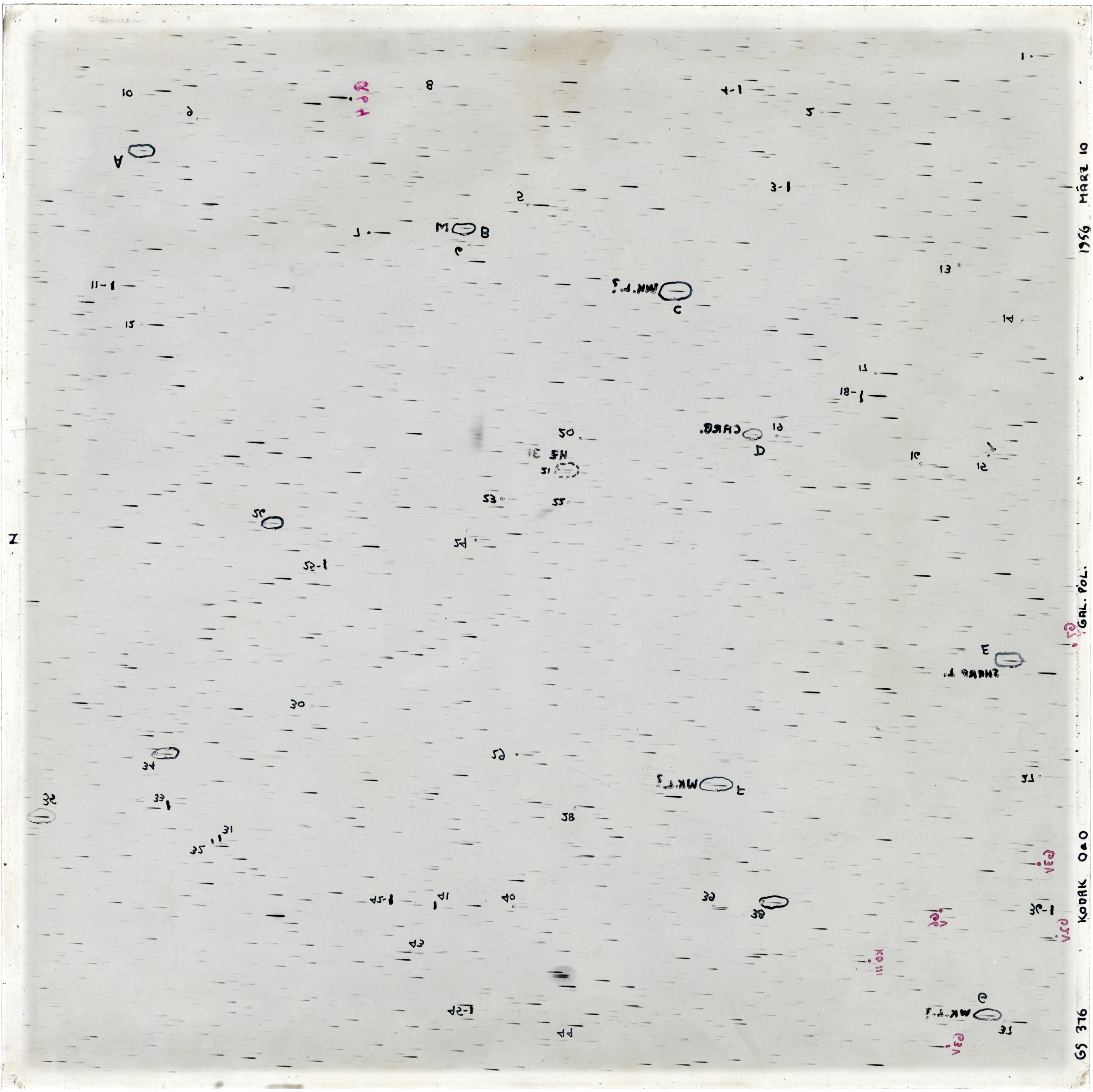 Scan GS00376
